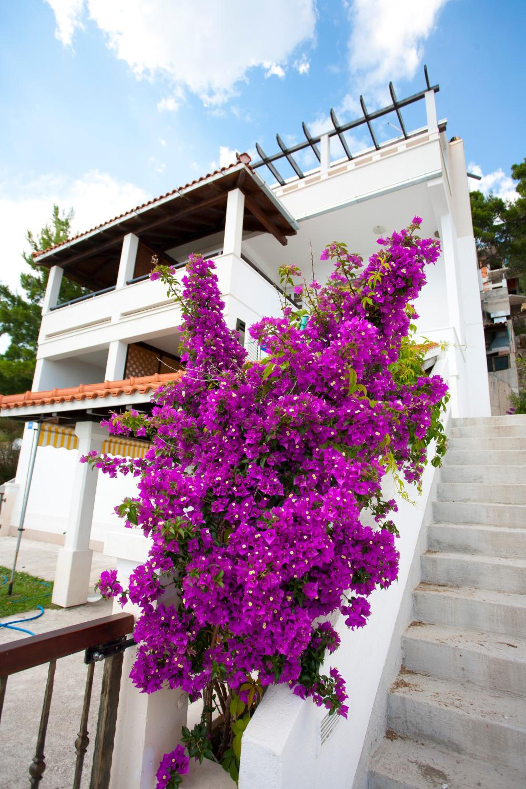 Apartments Fani