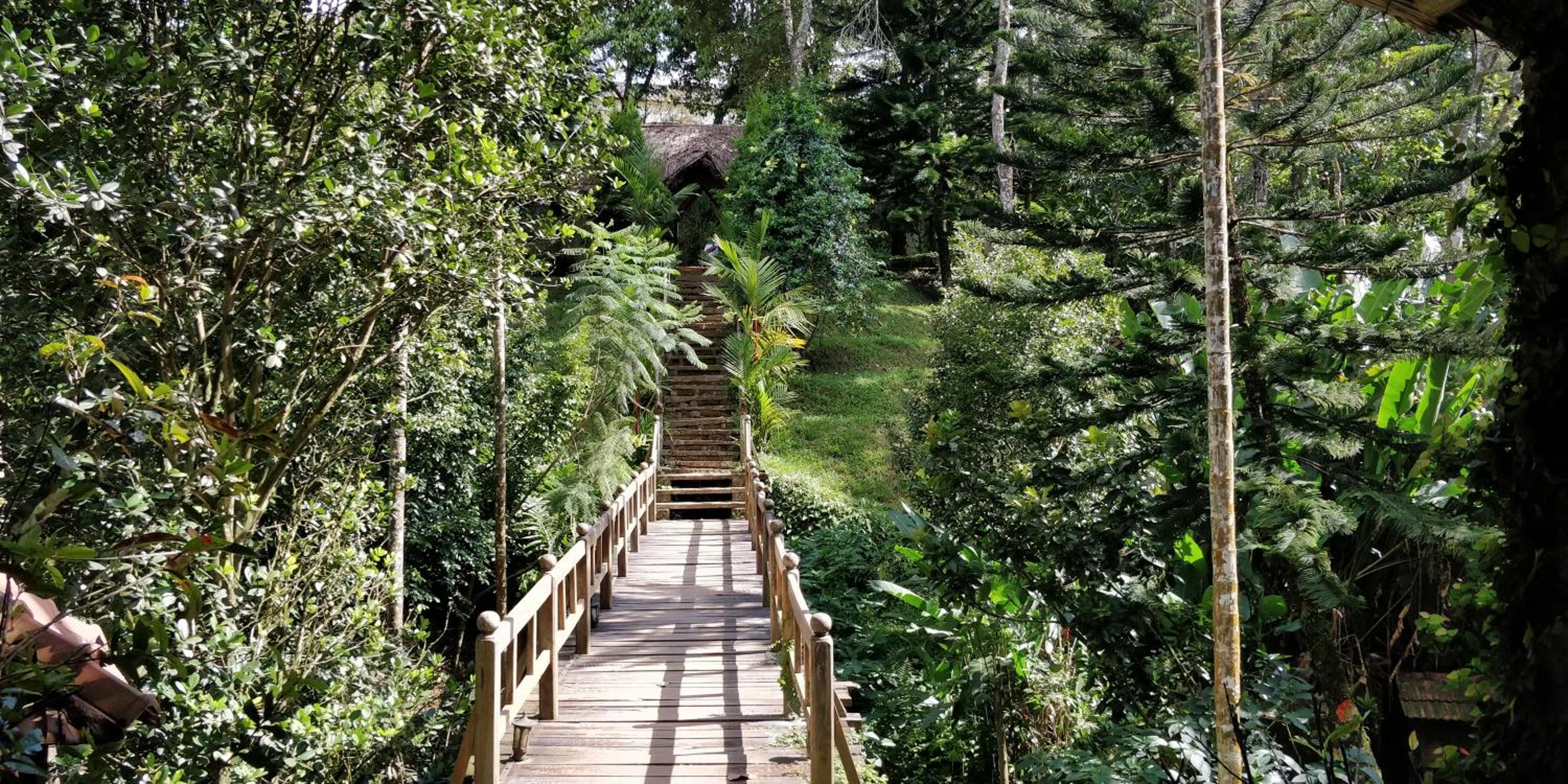 Thekkady Vacations - Amritara Shalimar Spice Garden Resort  Spa - Property Image 4