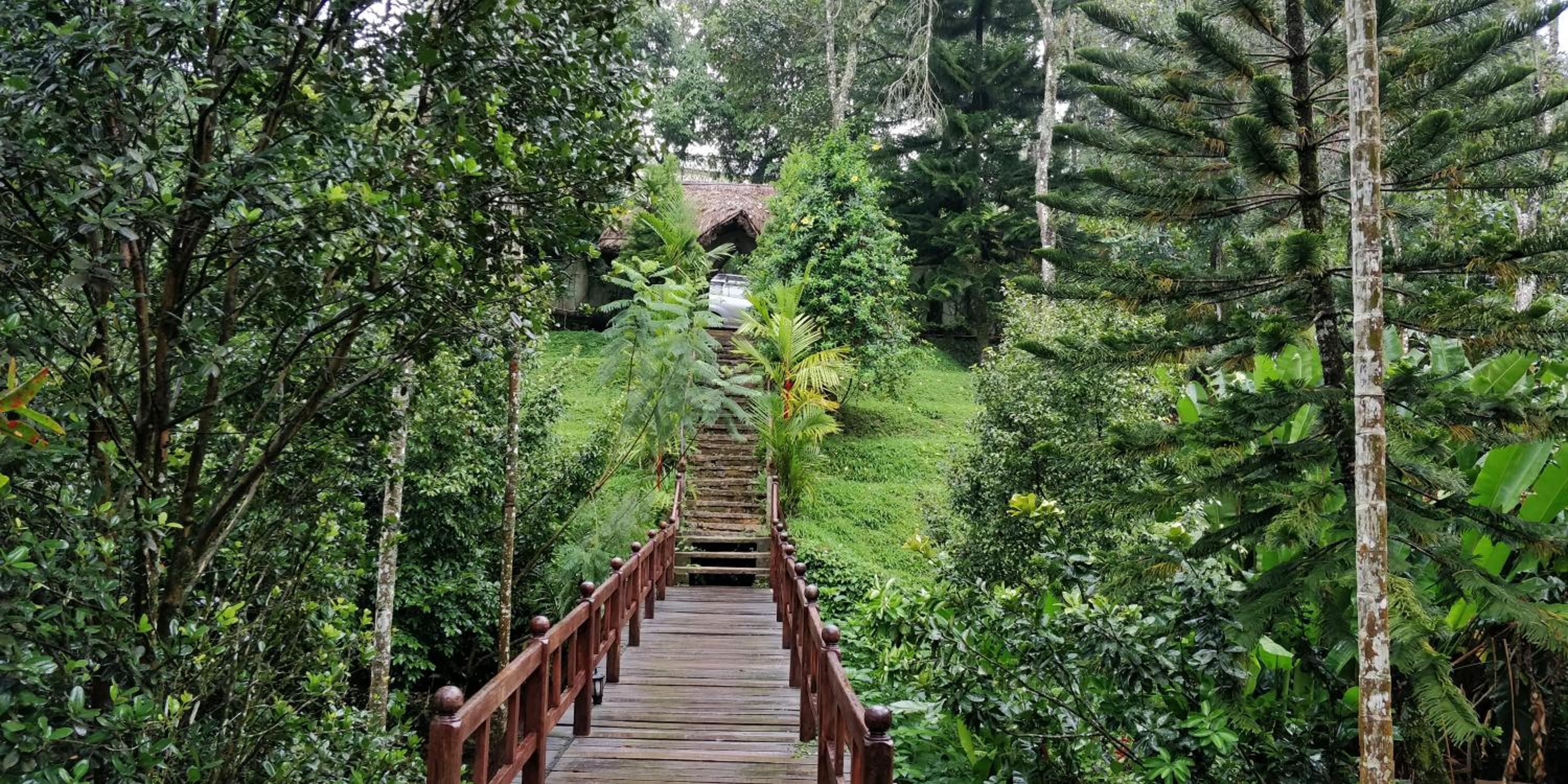 Thekkady Vacations - Amritara Shalimar Spice Garden Resort  Spa - Property Image 8