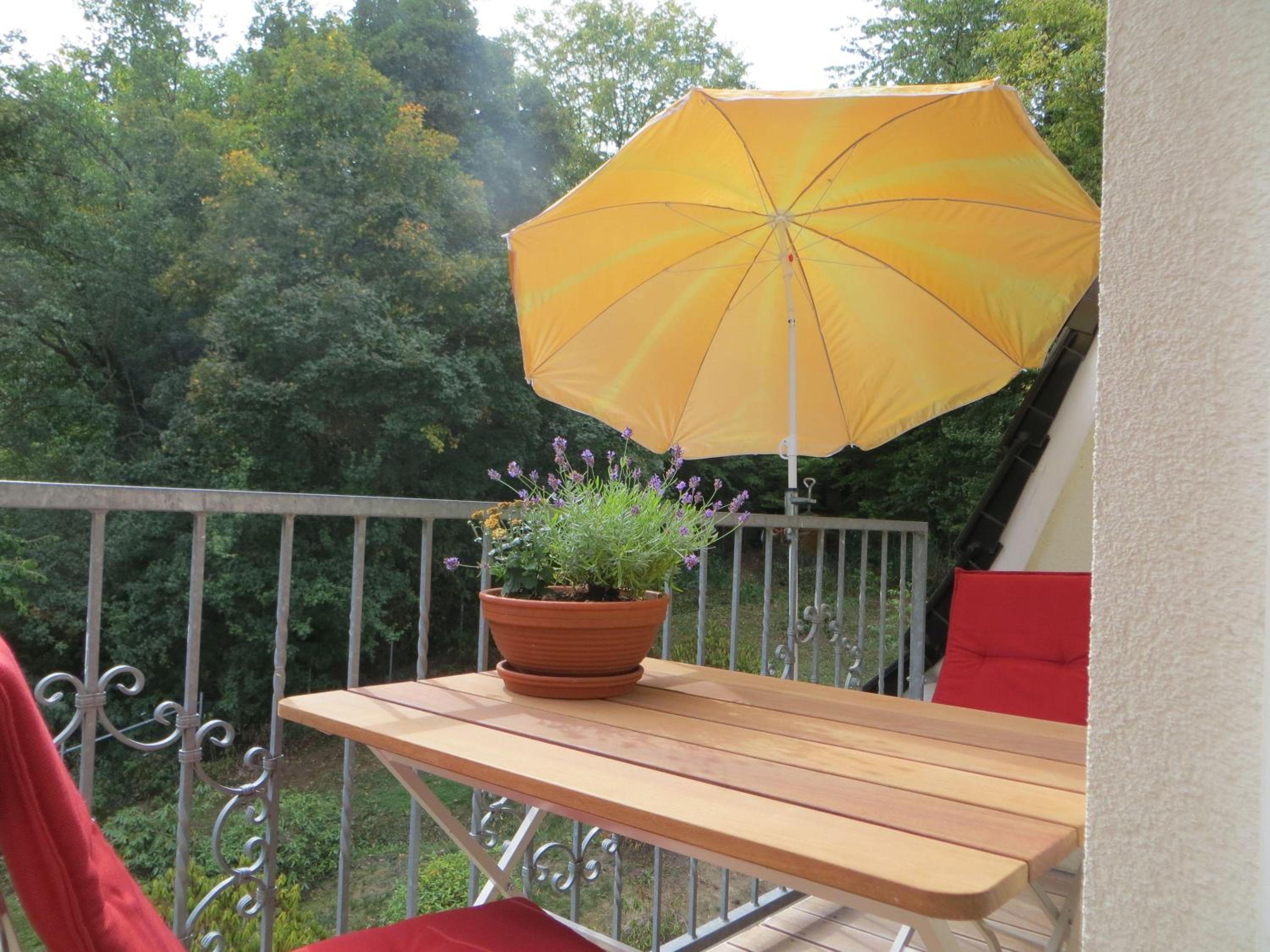 Weisses-Haus-am-Kurpark-Fewo-Bergblick