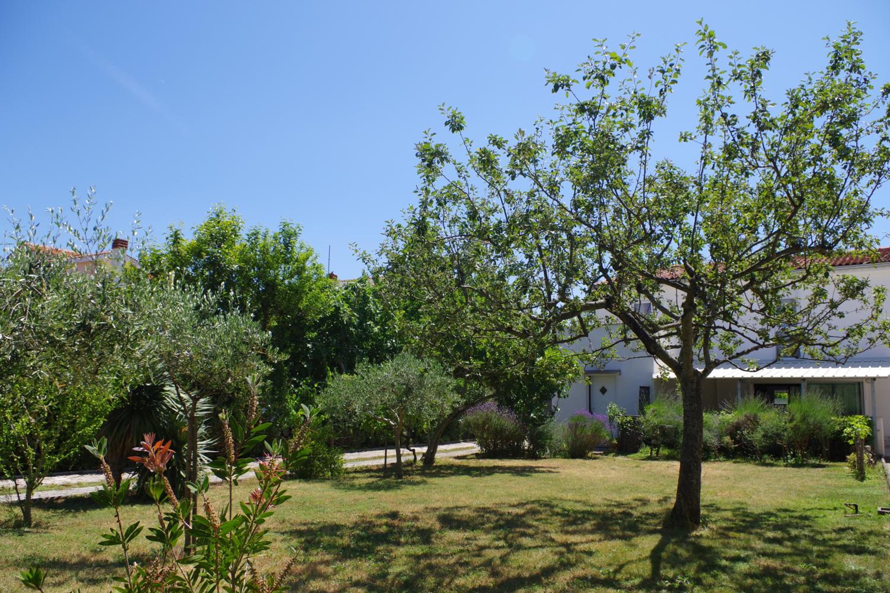 Photo 46