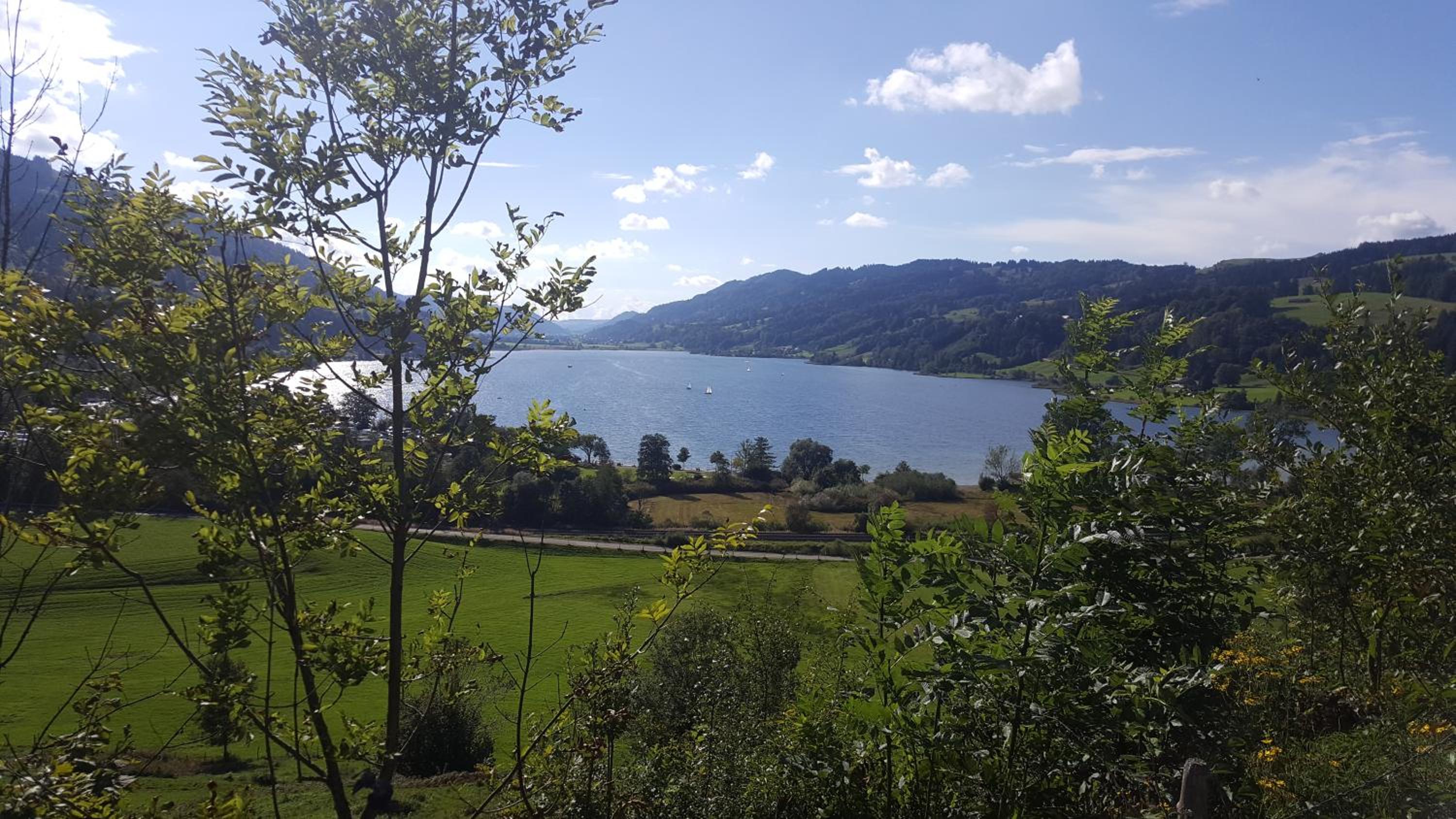 Fewo FRIADO im Ferienpark OA - ohne Zusatzkosten nach Anreise - mit Hallenbad, W-Lan, PKW-Garage, Kurtaxe mit Allgäu-Walser-Pass, Bett- und Handtuch-Wäsche