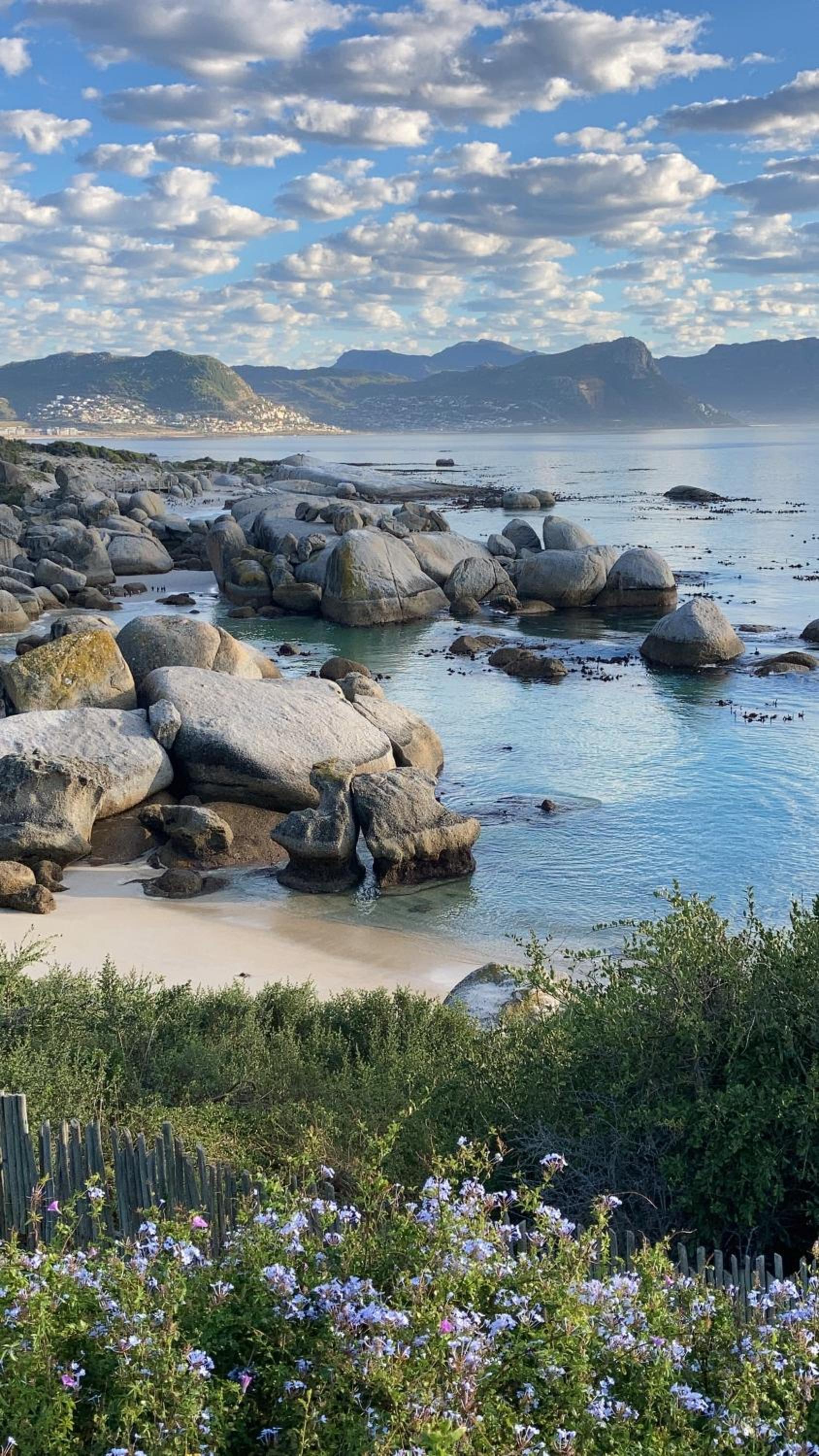 Bosky Dell on Boulders Beach view 5