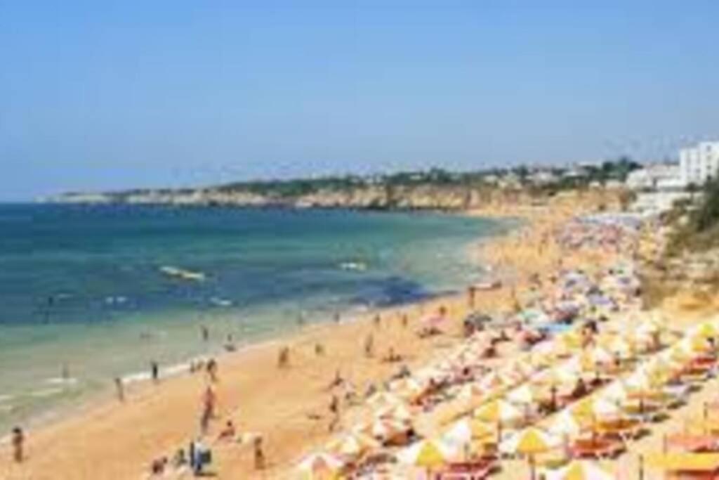 Cozy ap renovado 1ª linha de Praia - Armação Pêra view 4