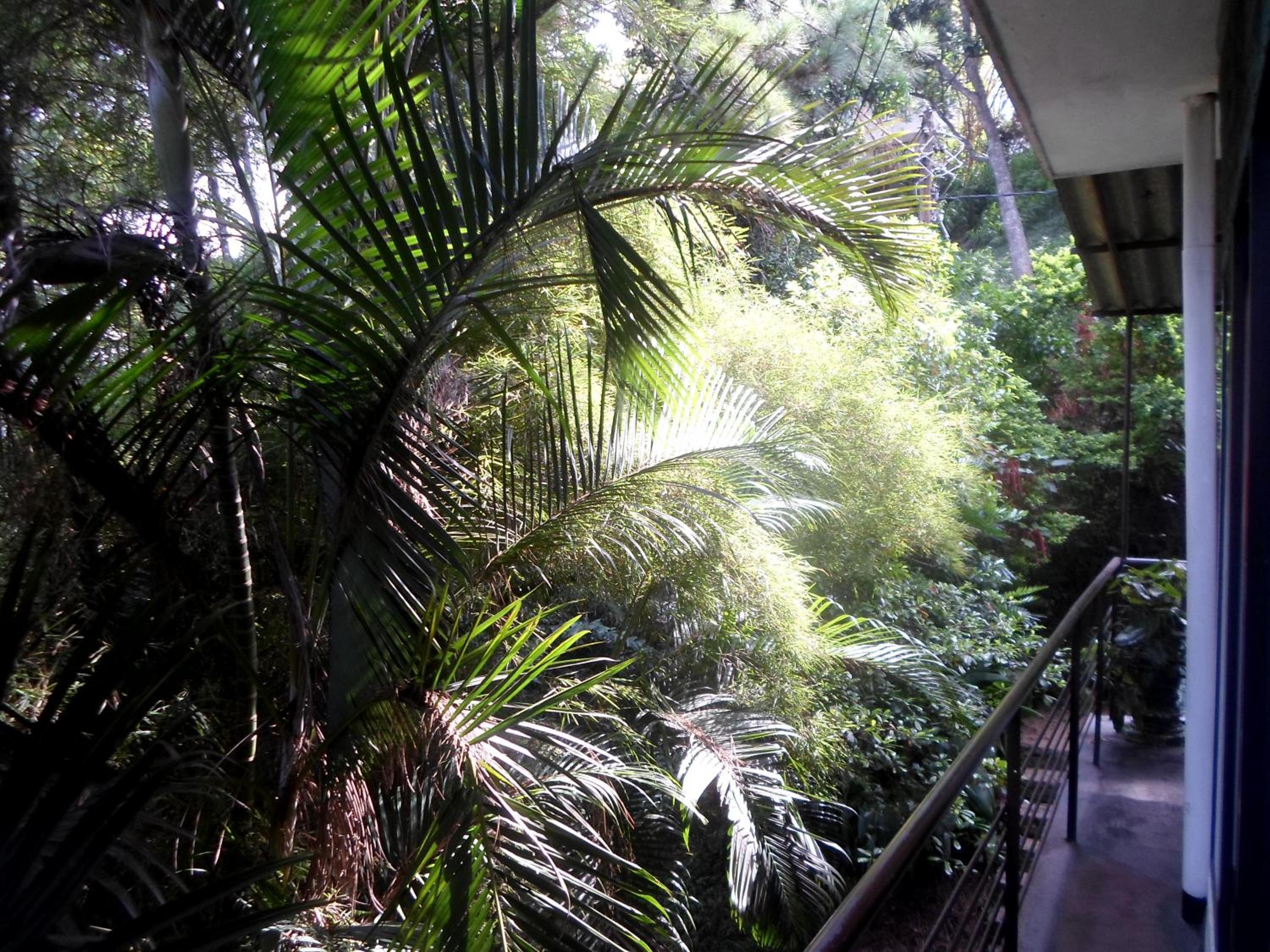 Photo 23