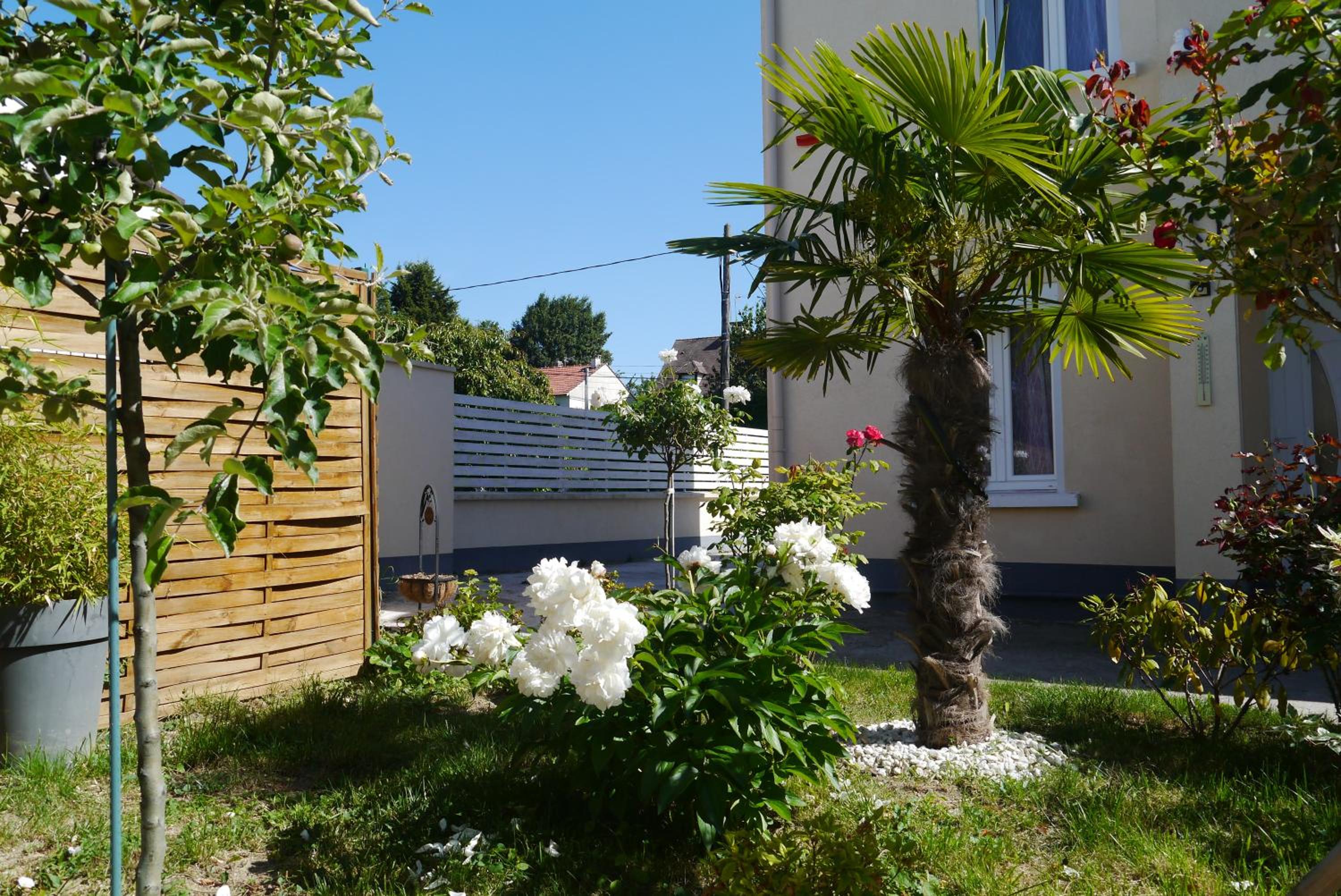 Photo 27