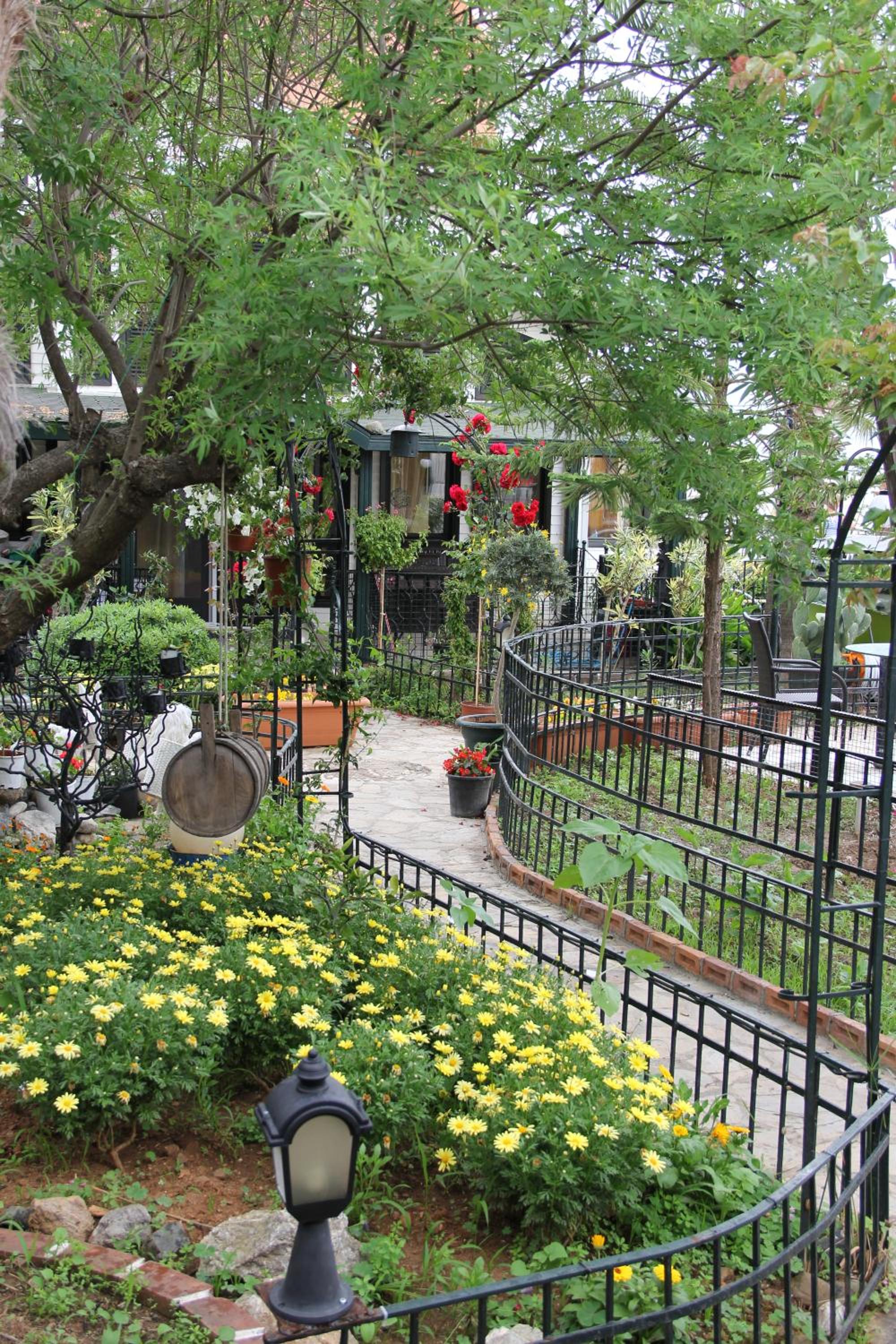 garden