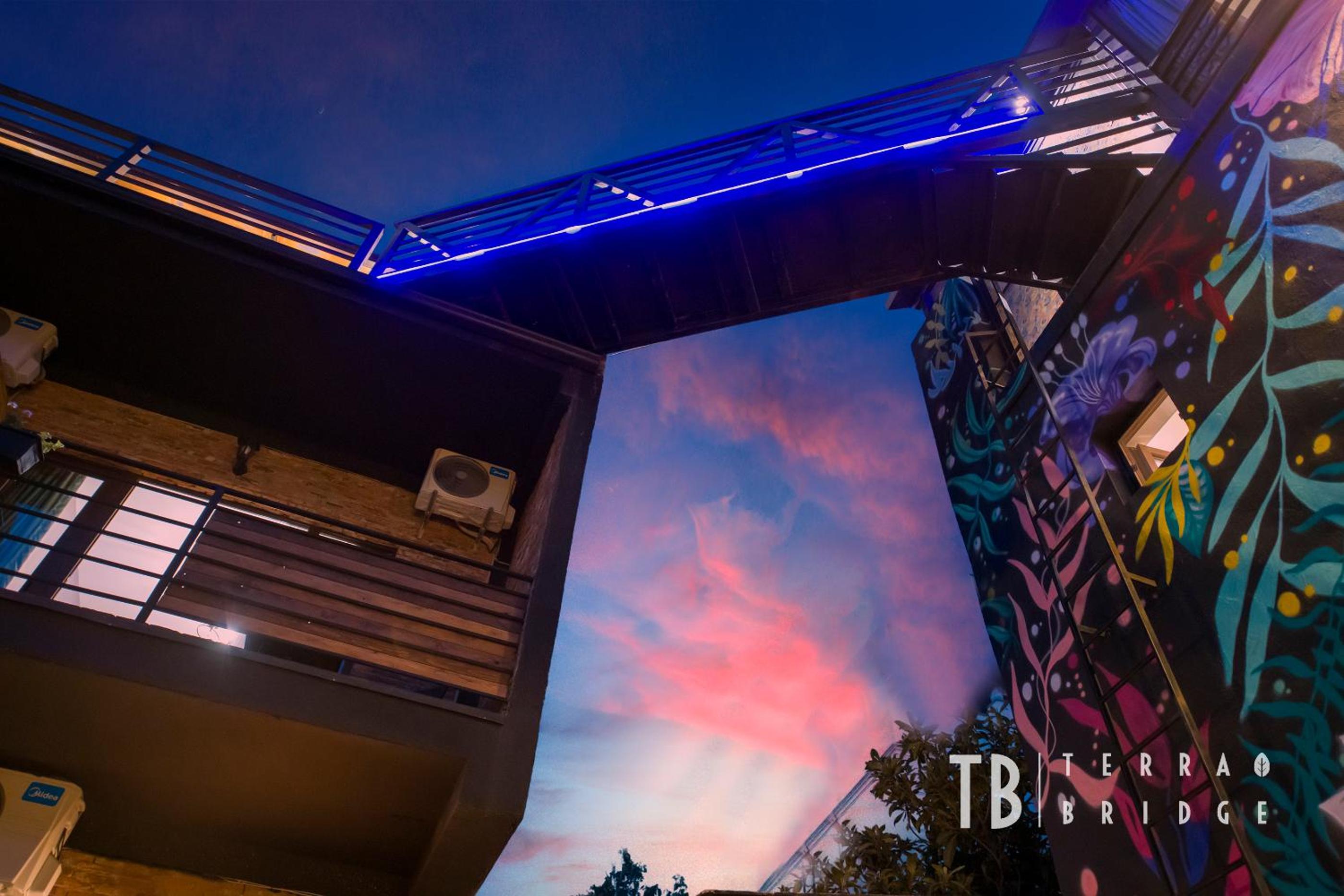 Terra Bridge