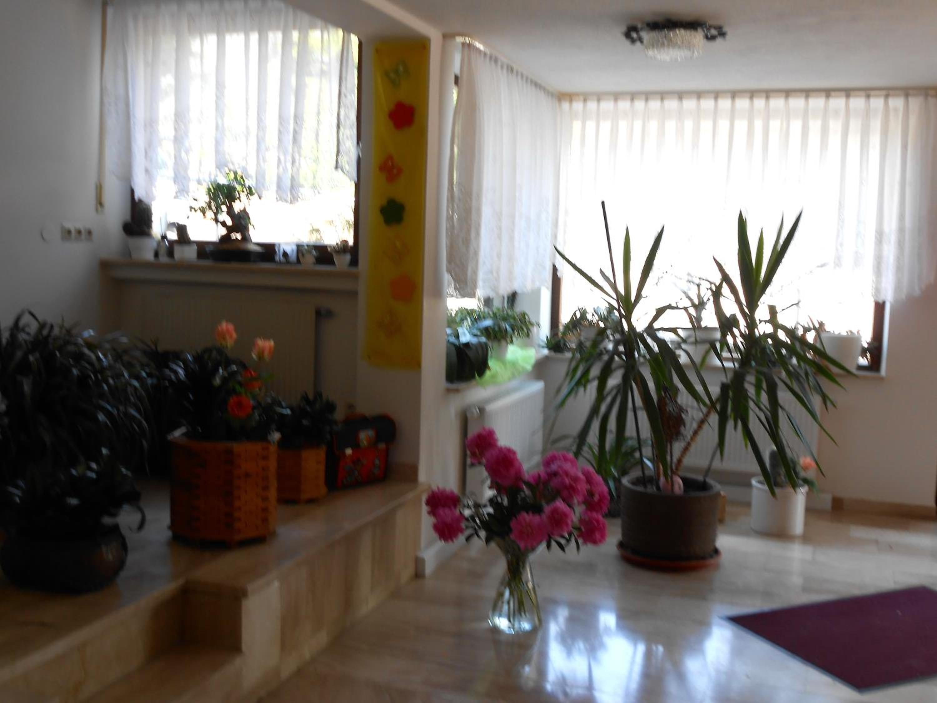 Photo 33