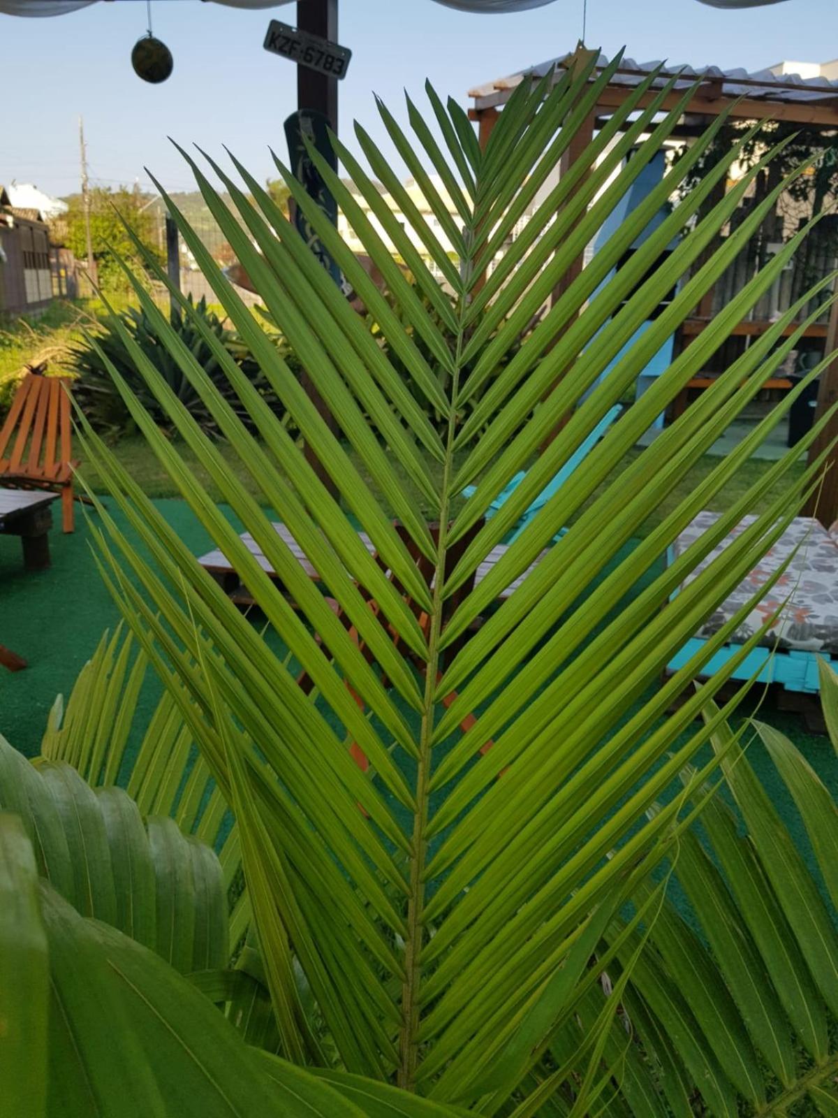 Condominio Vila Lila