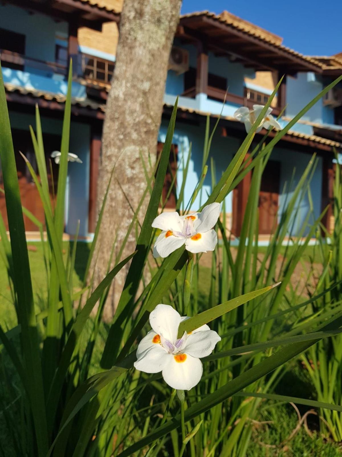 Condominio Vila Lila