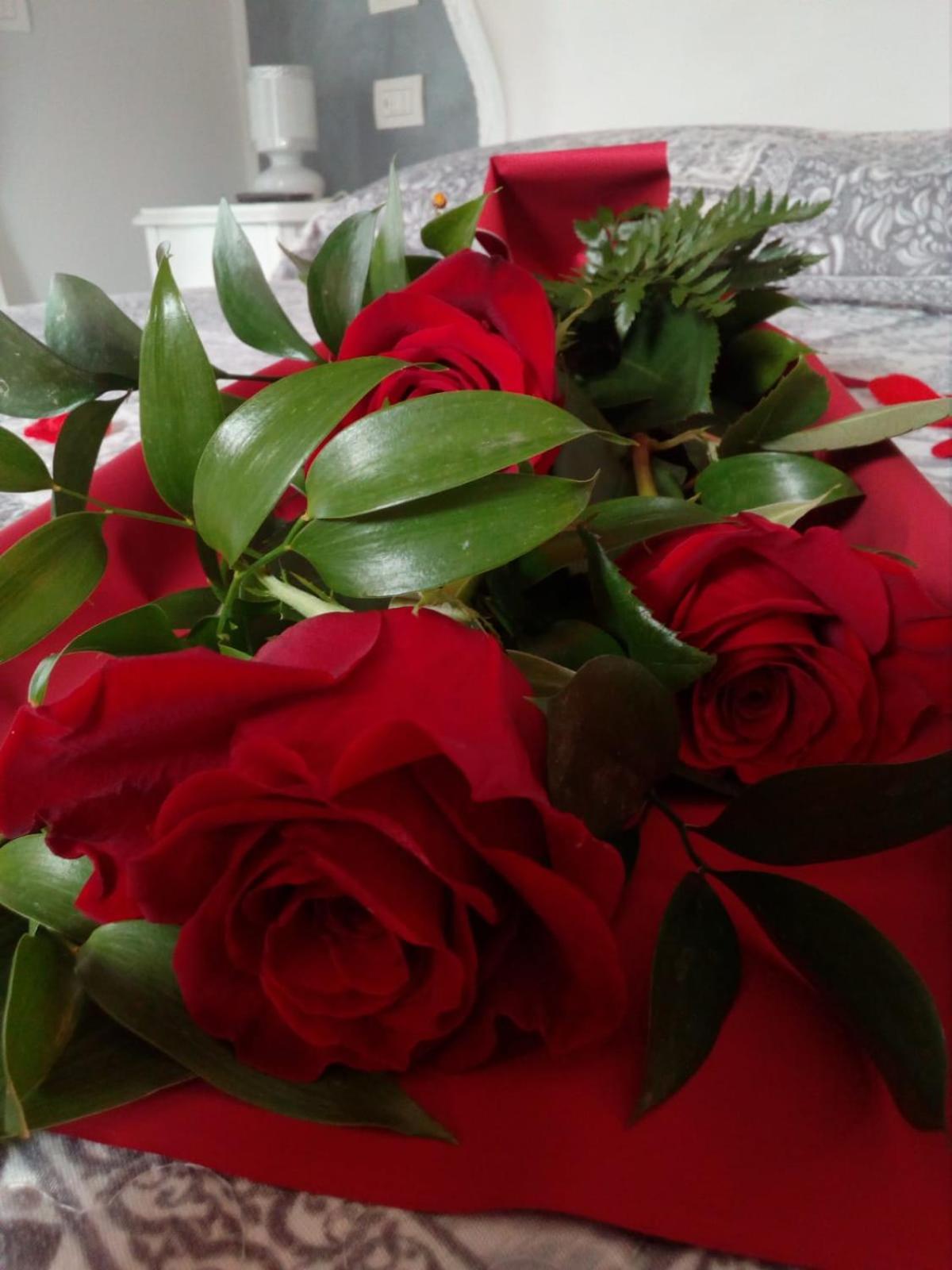 Photo 34