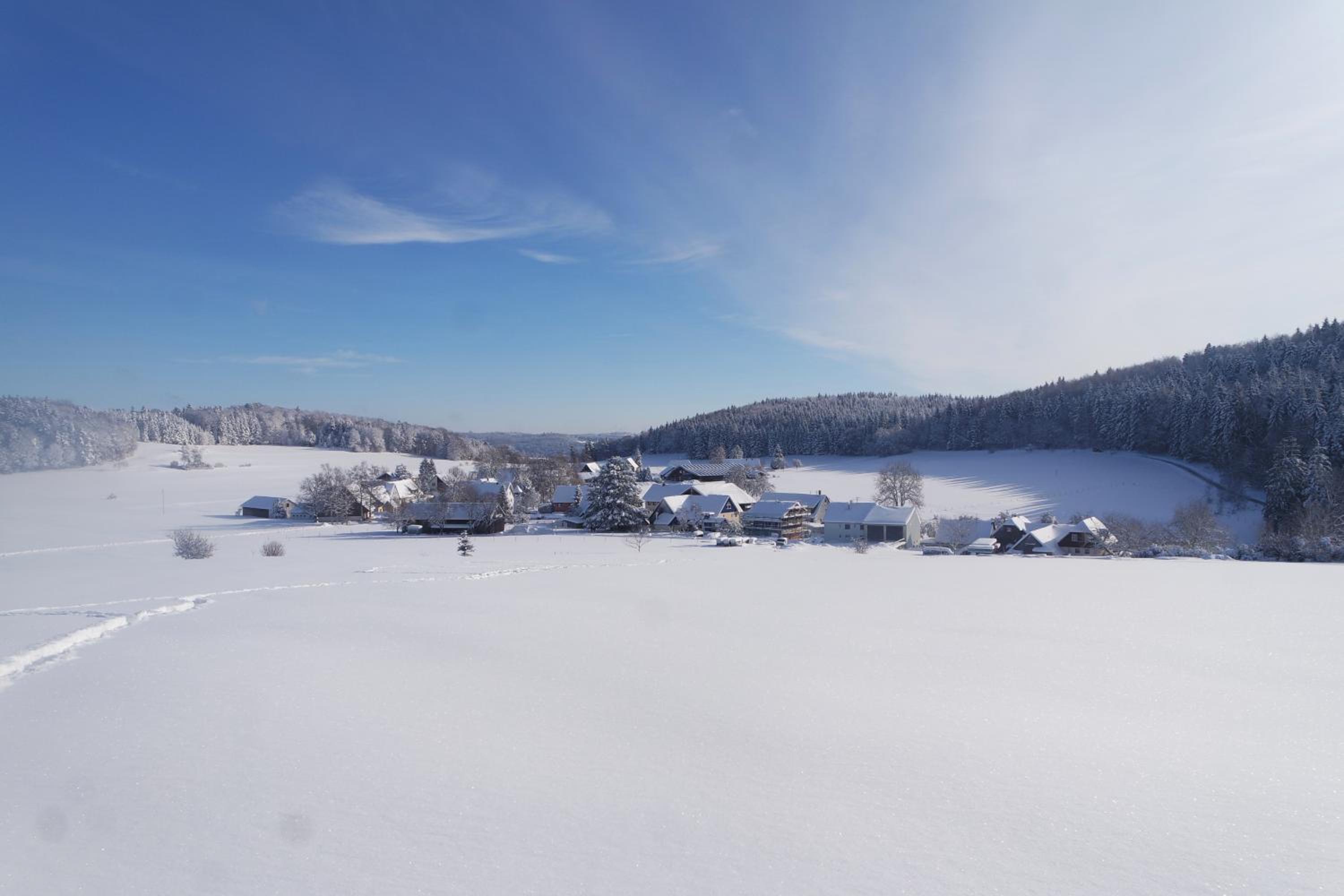 Alb Chalet