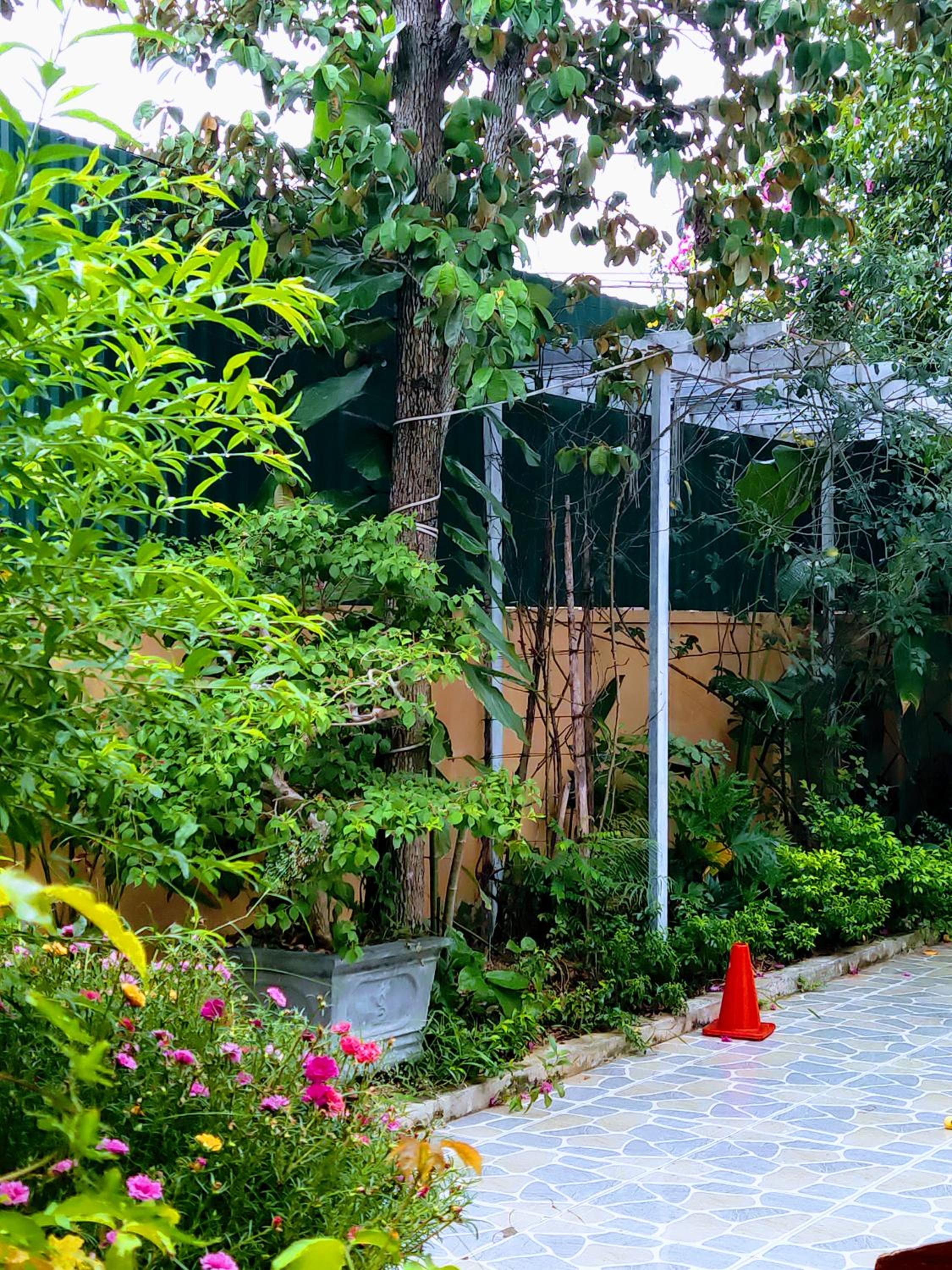 Bong Mai Thai Hoa Hotel view 3