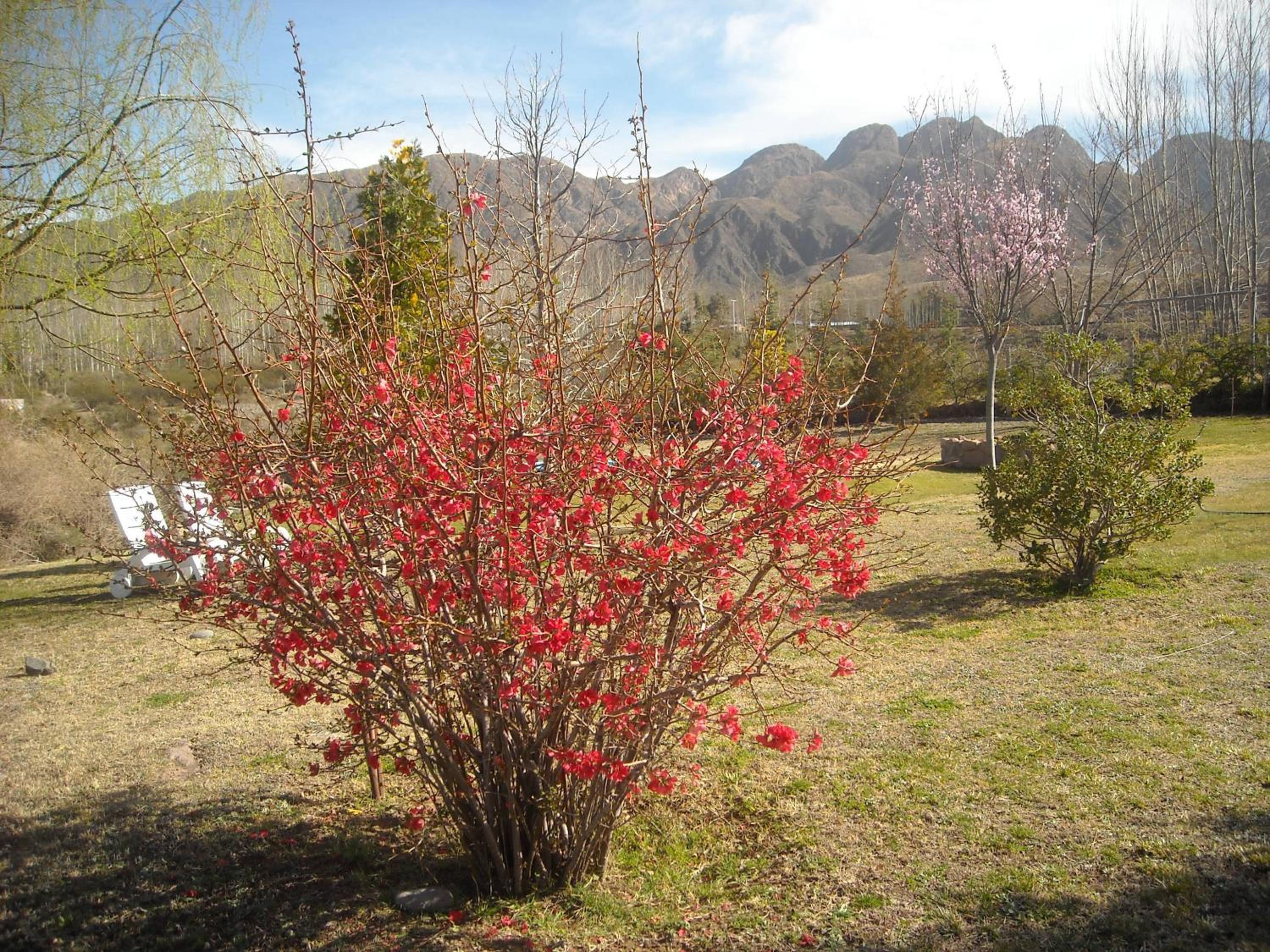 Cabañas Rio Mendoza