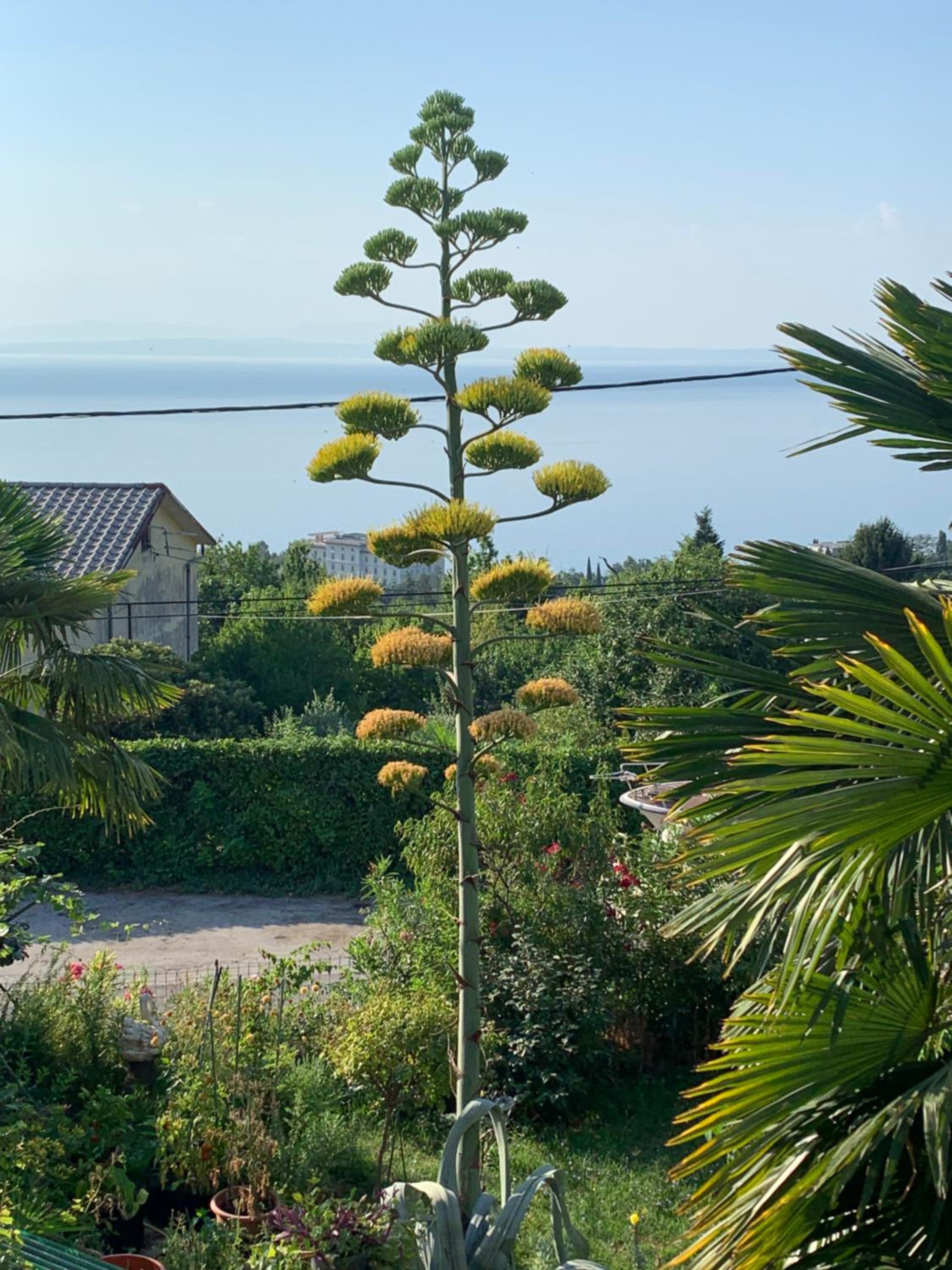 Holiday House Marica
