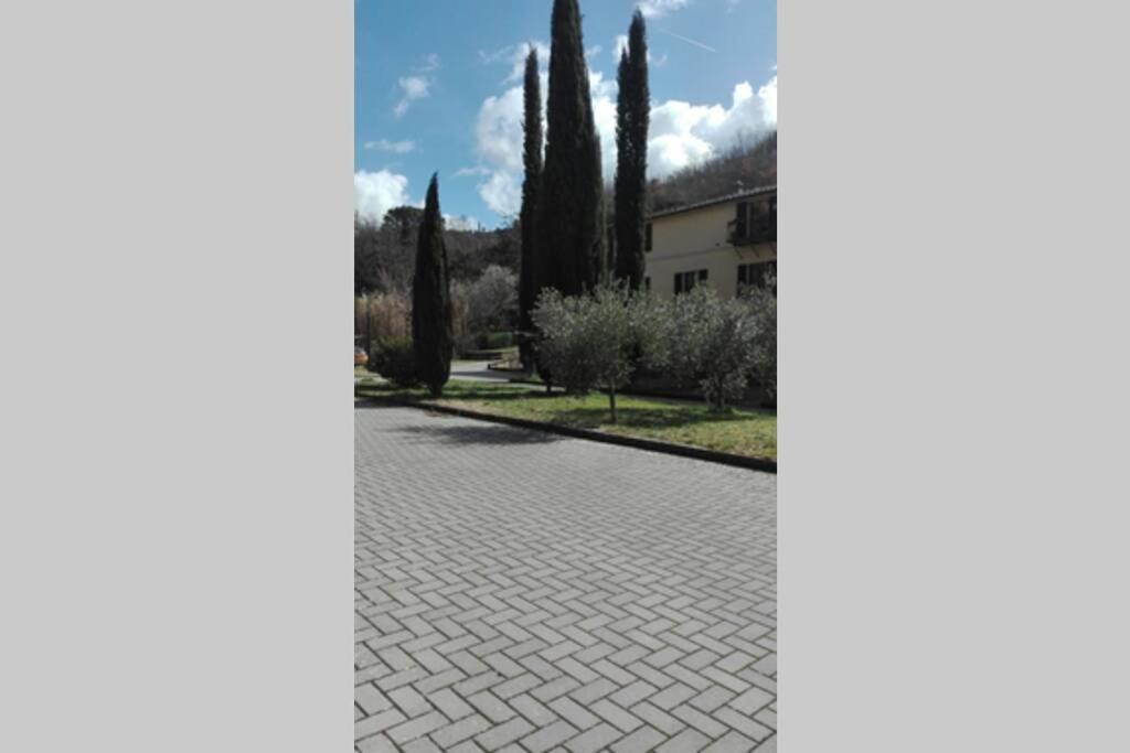 CasaZappa - In centro a piedi, parcheggio e giardino privato photo 3