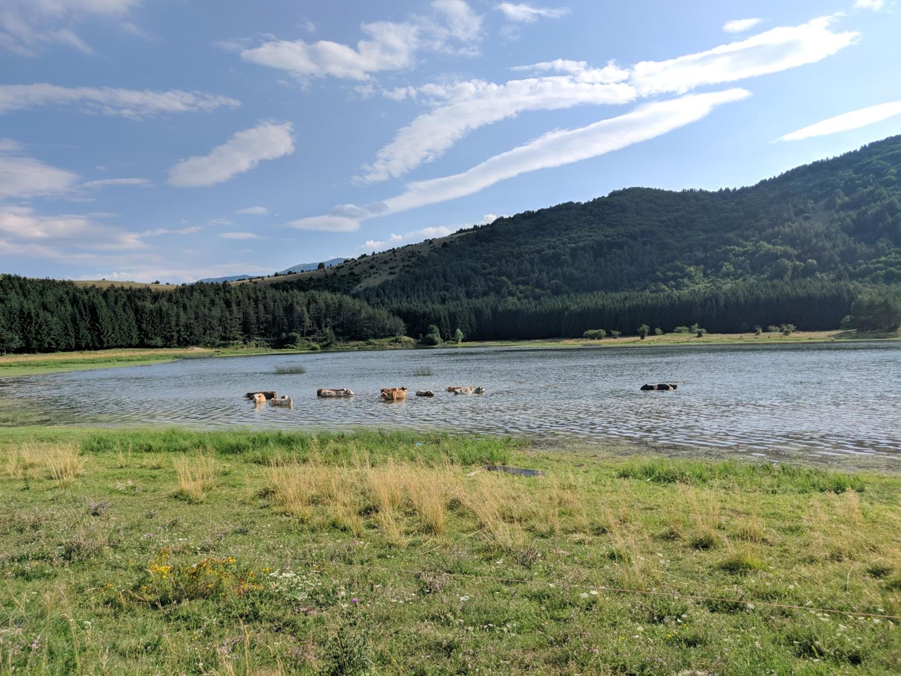 Lake Bungalows Glamoč