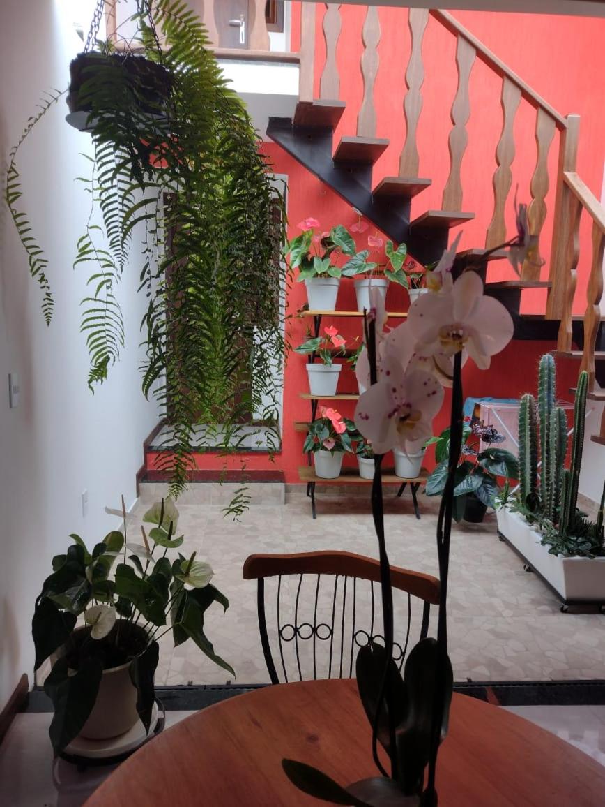 Loft Colibri Mucugê