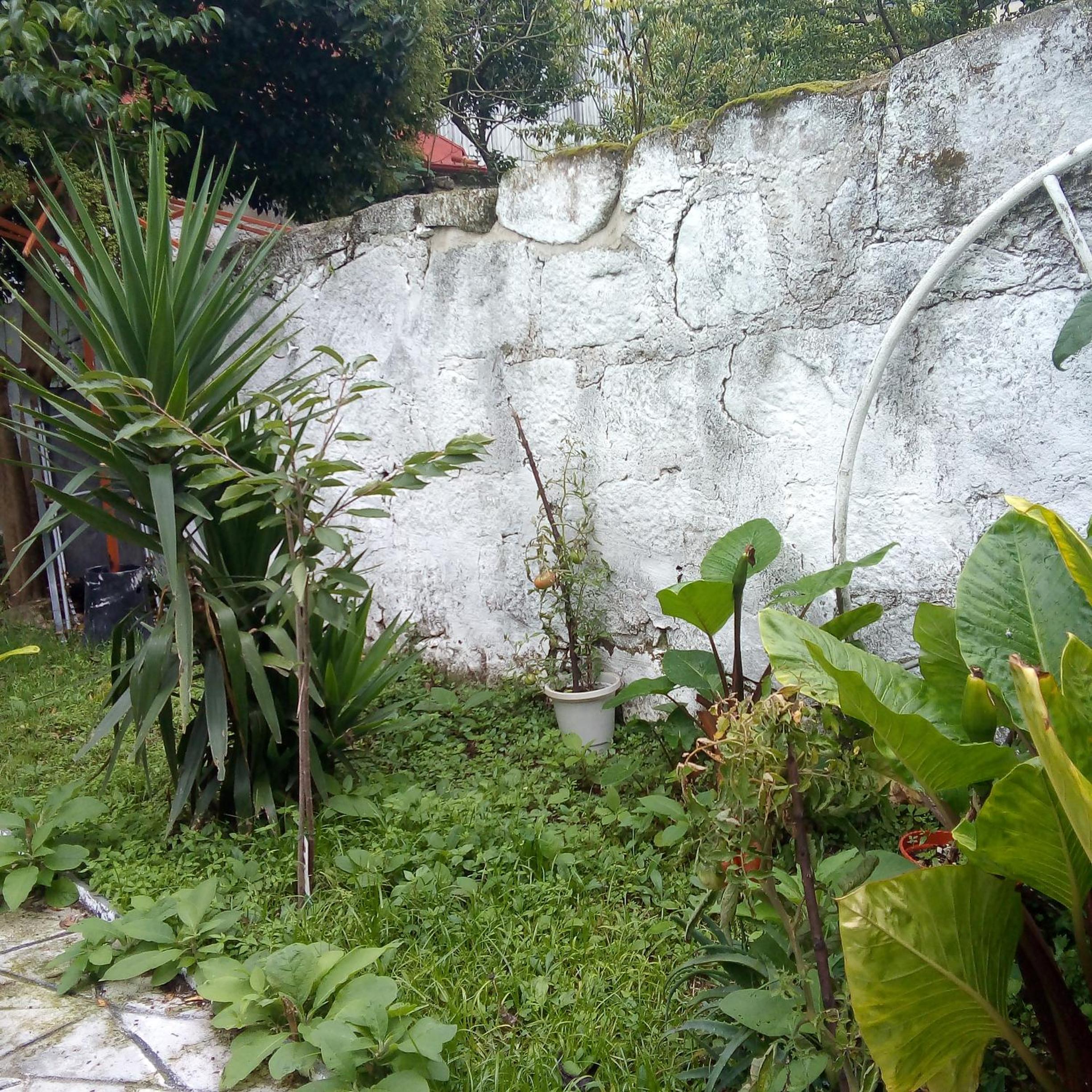 other