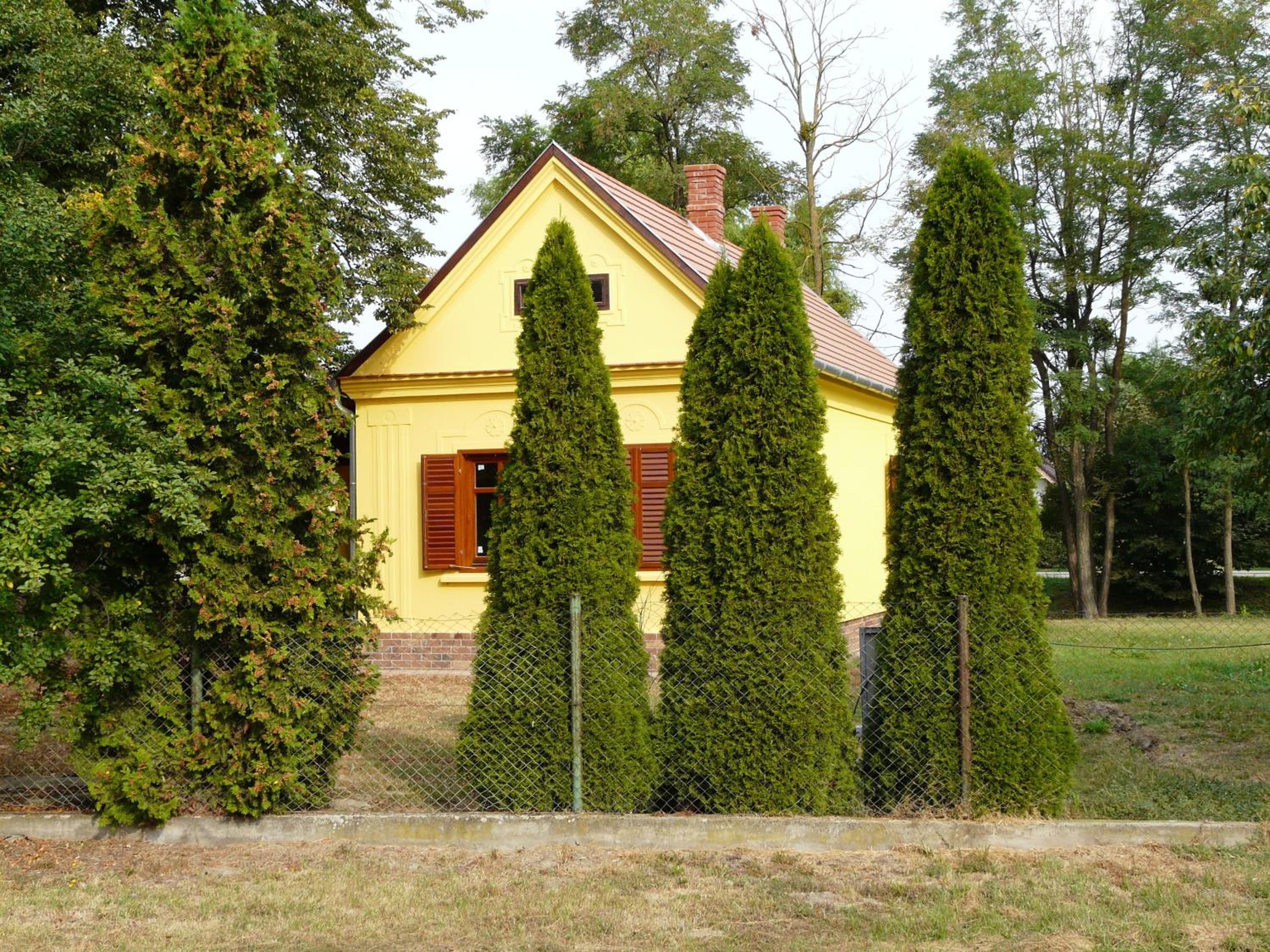 Photo 23