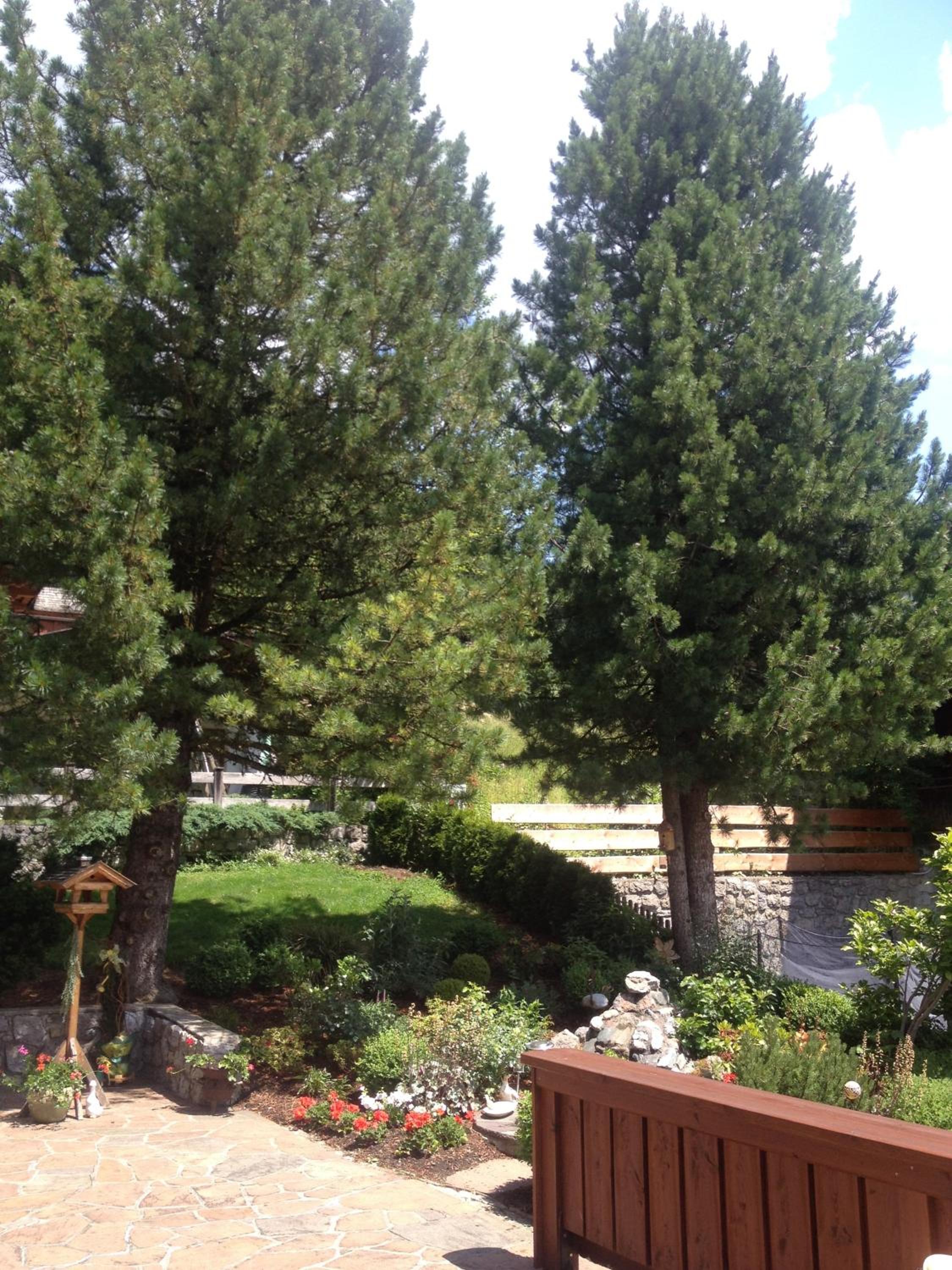 Pension Edelweiss