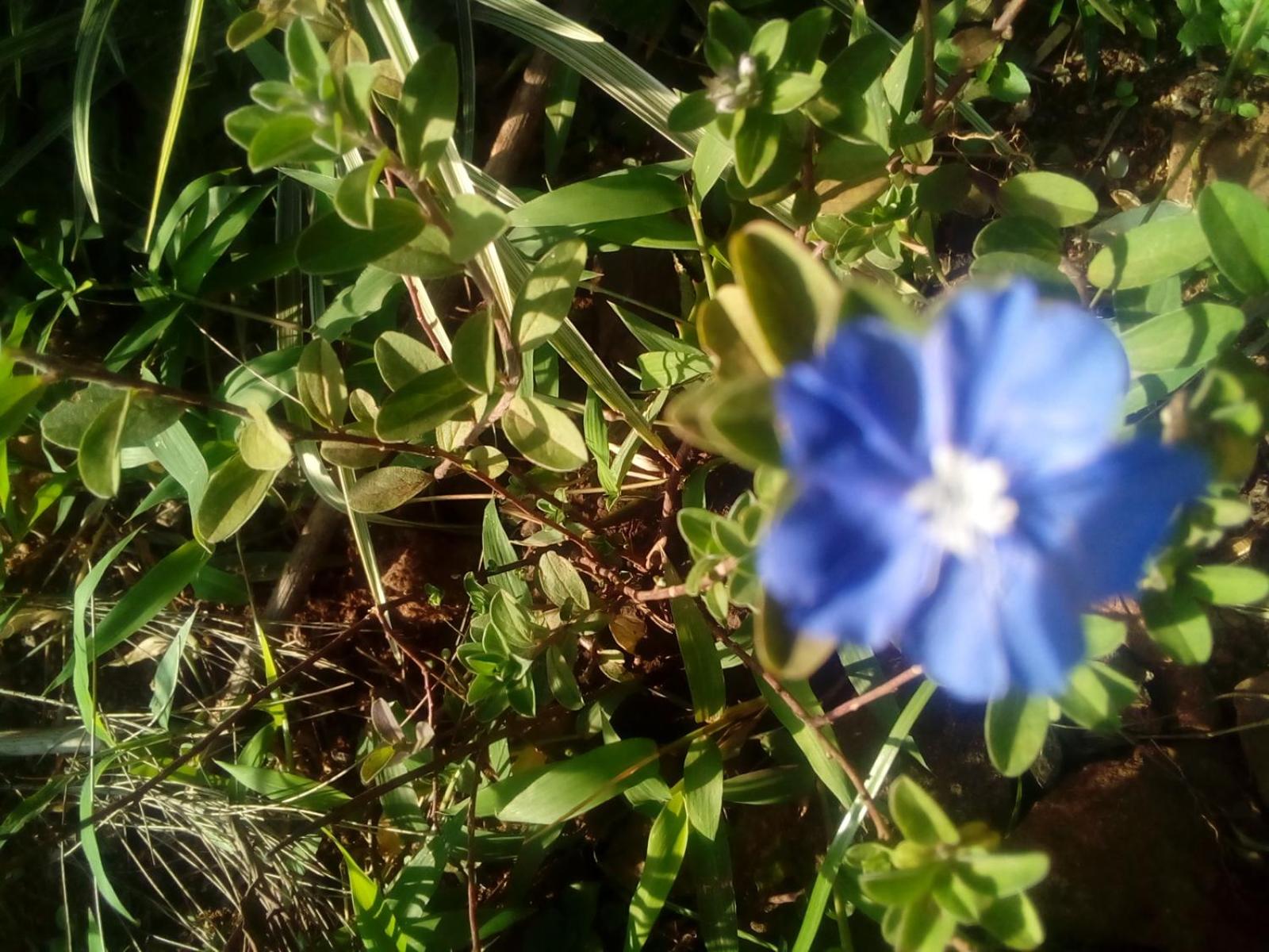 Photo 46