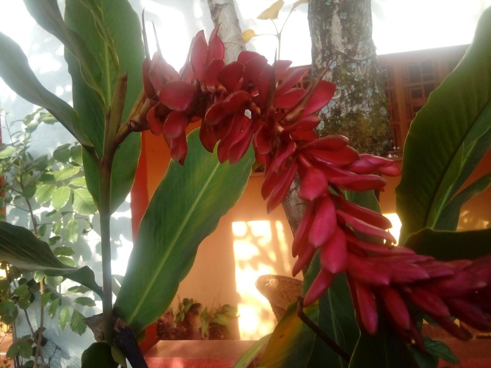 Photo 45