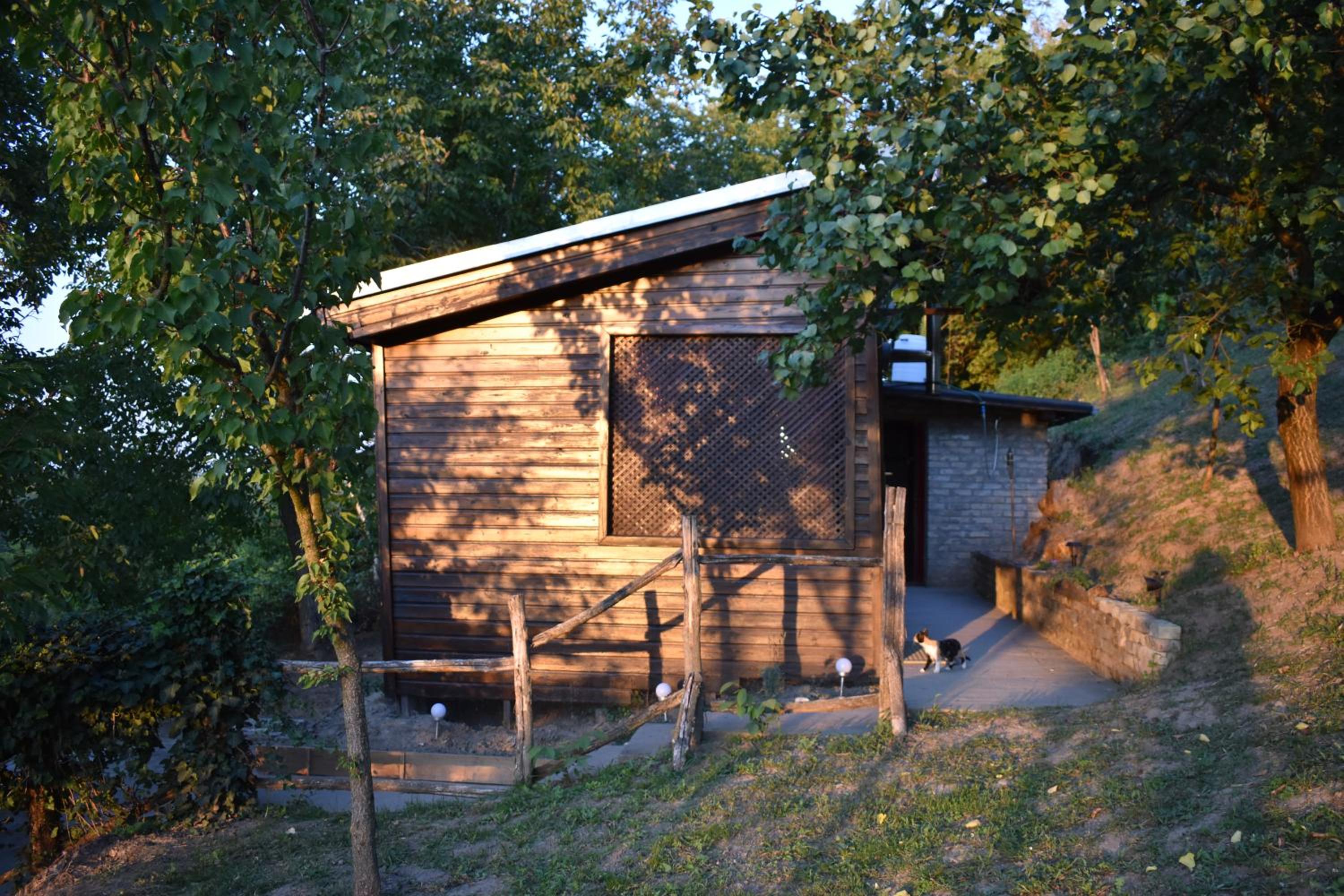 Photo 21