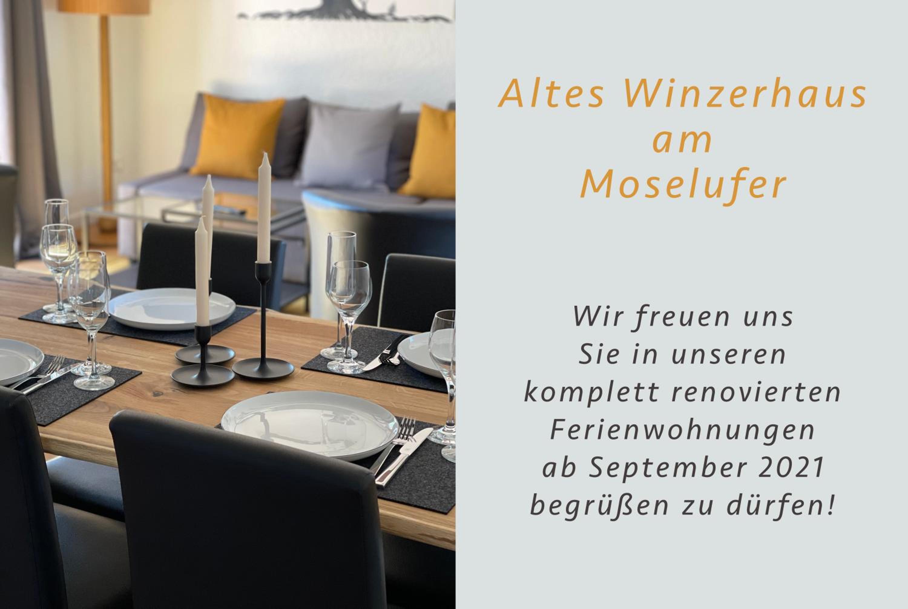 Altes Winzerhaus am Moselufer - Sonnenlay view 5