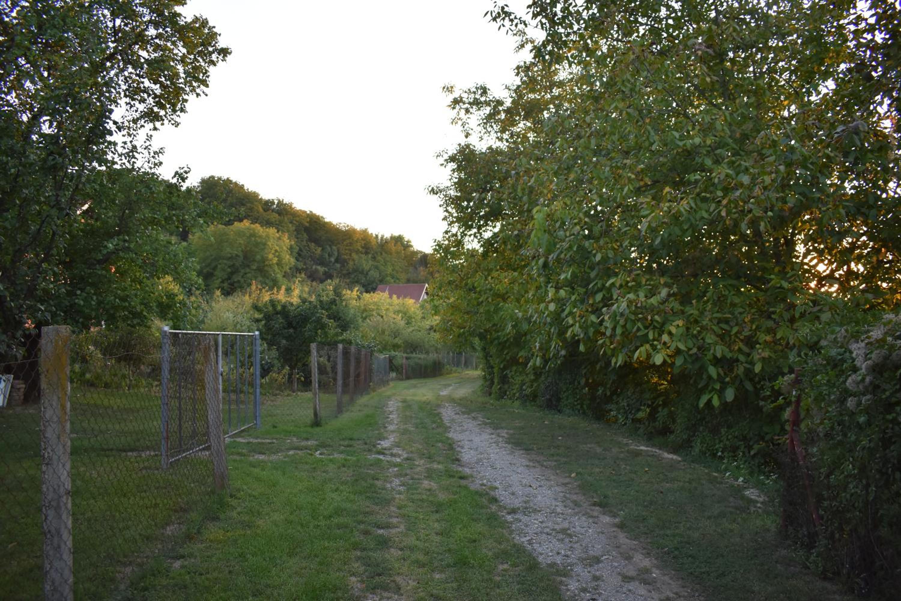 Photo 30