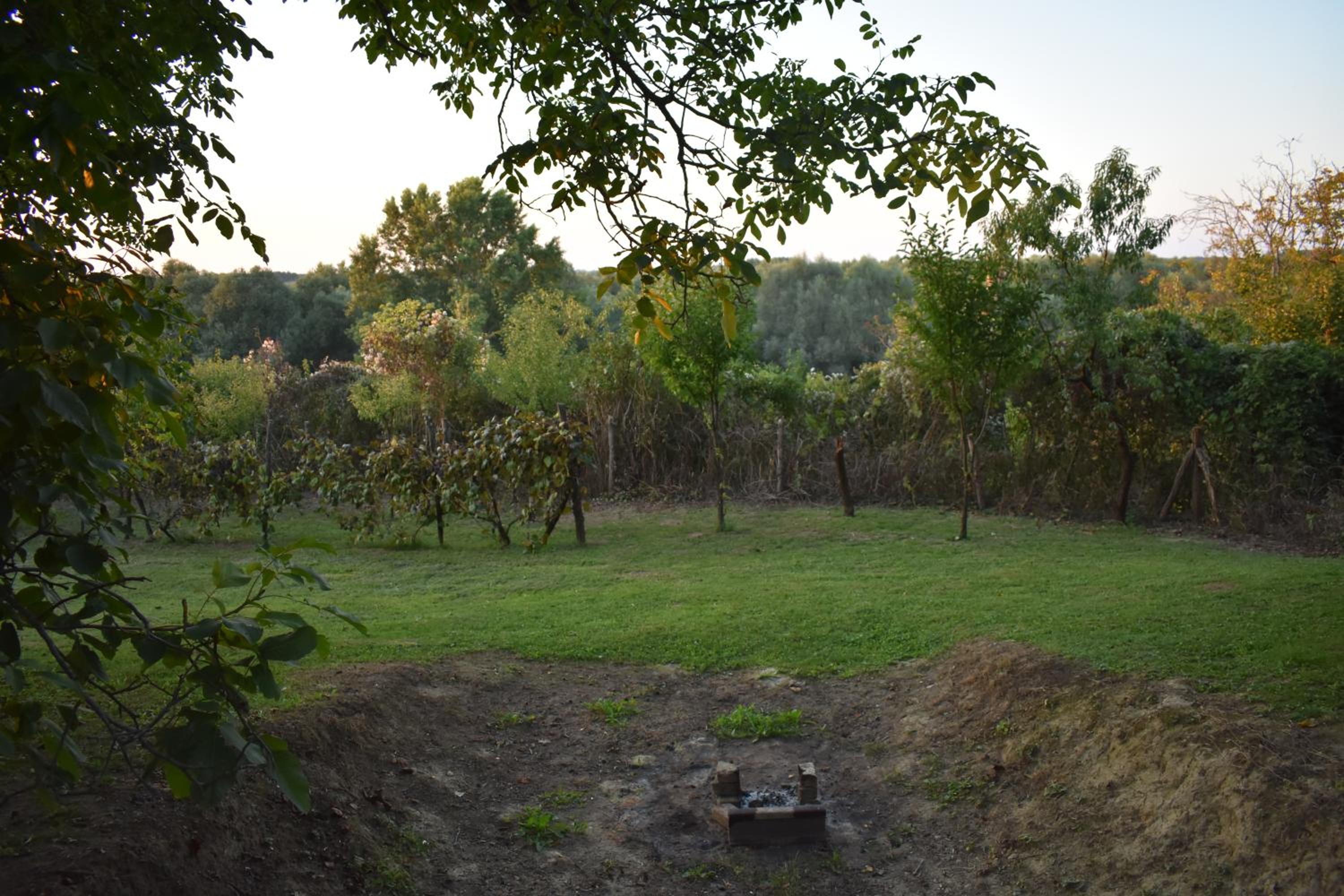Photo 34