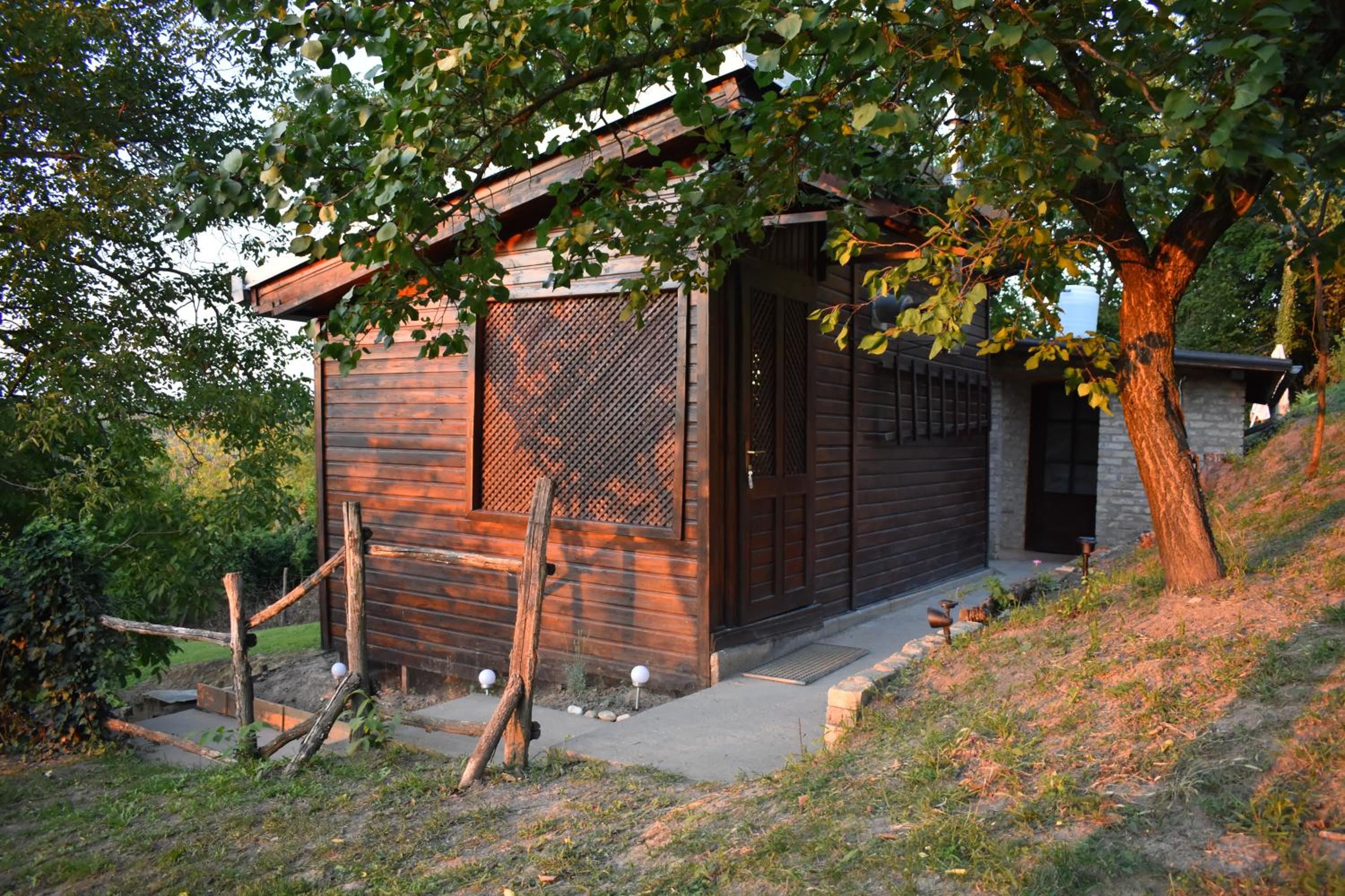 Photo 9