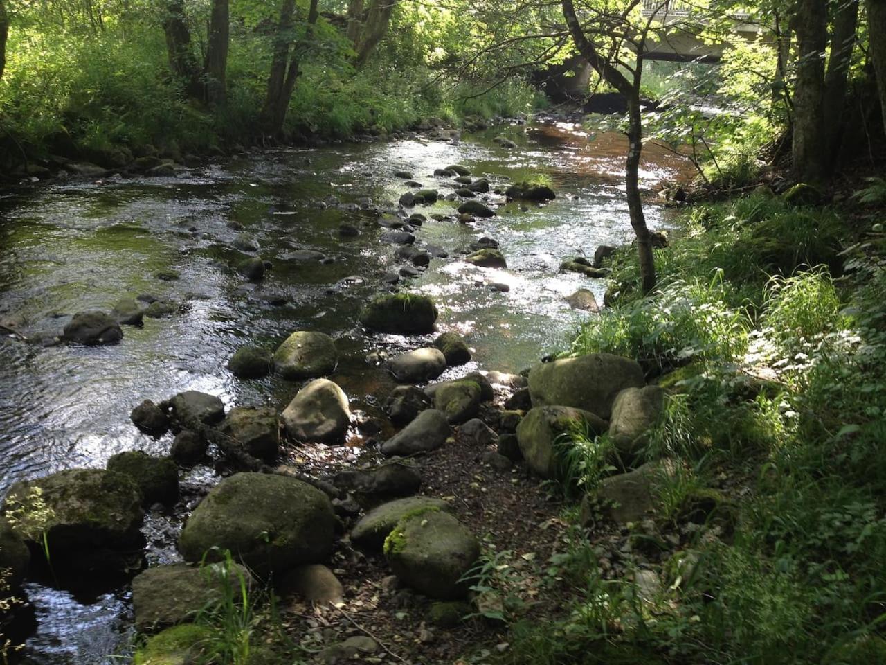 Photo 38