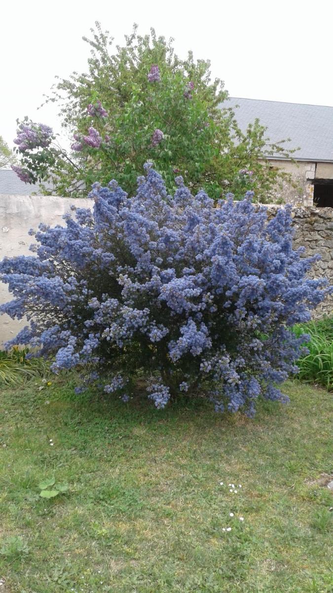 Photo 32