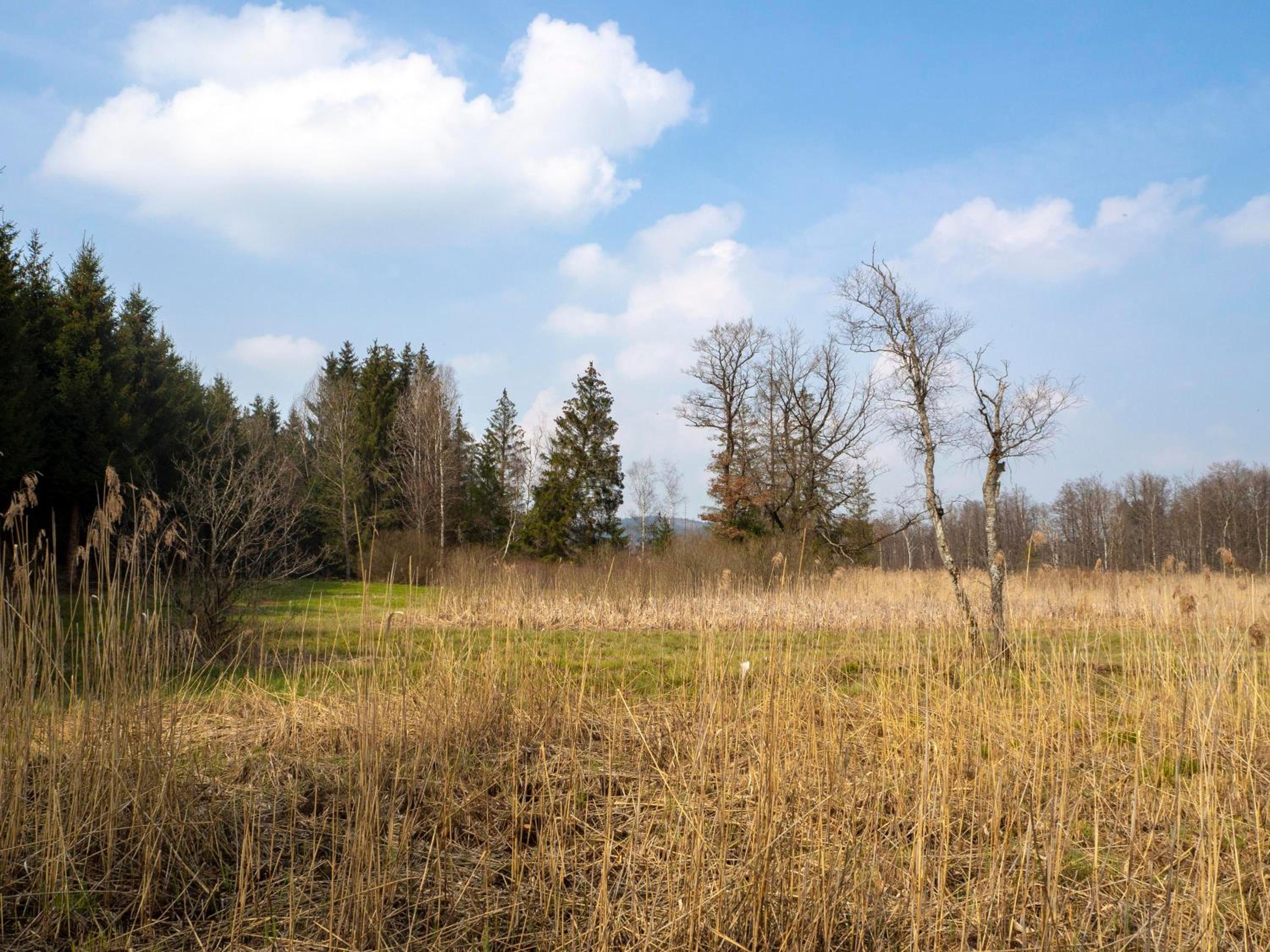 Moderne Unterkunft in Leutkirch