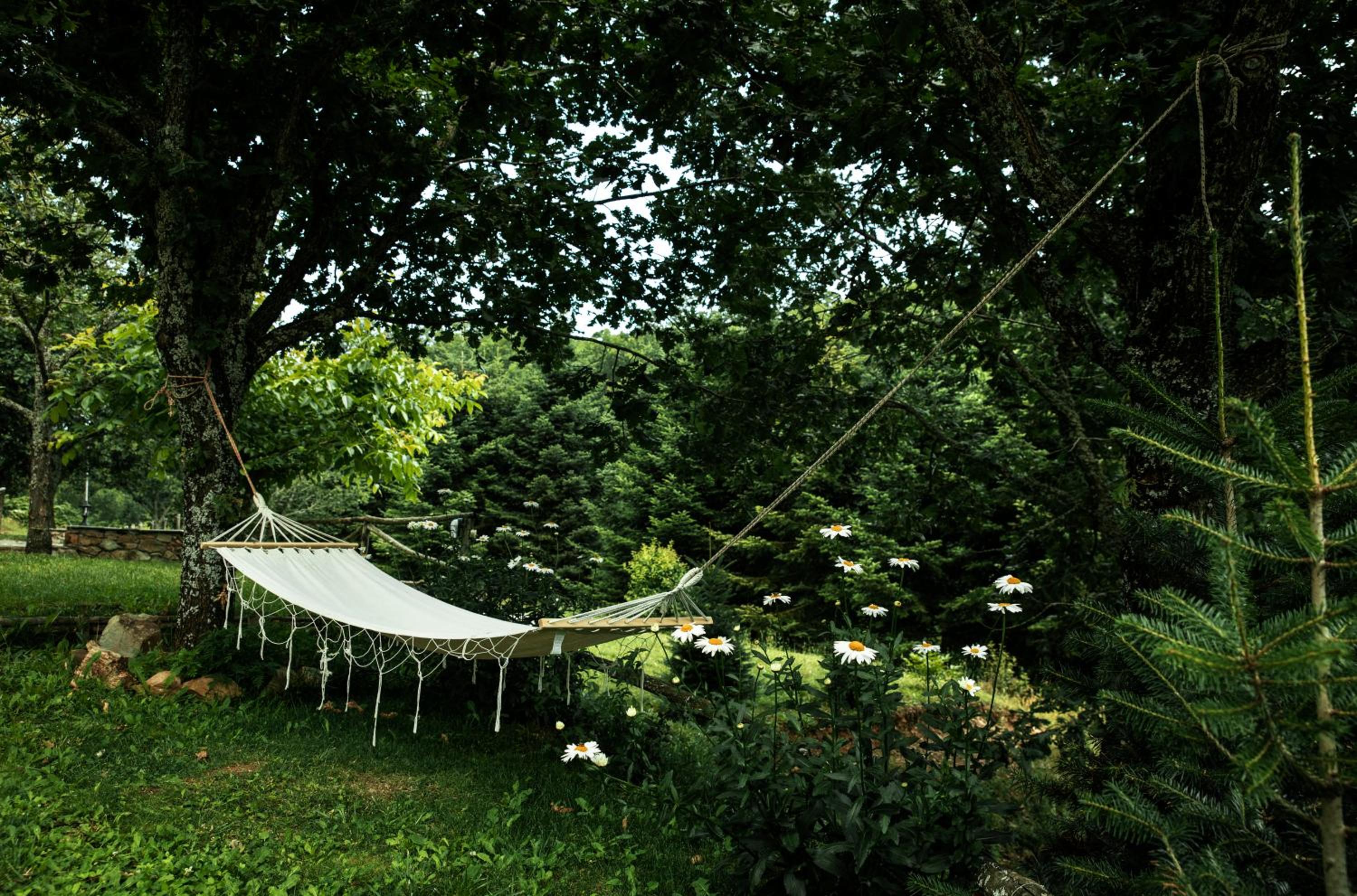 Guesthouse Rodamos