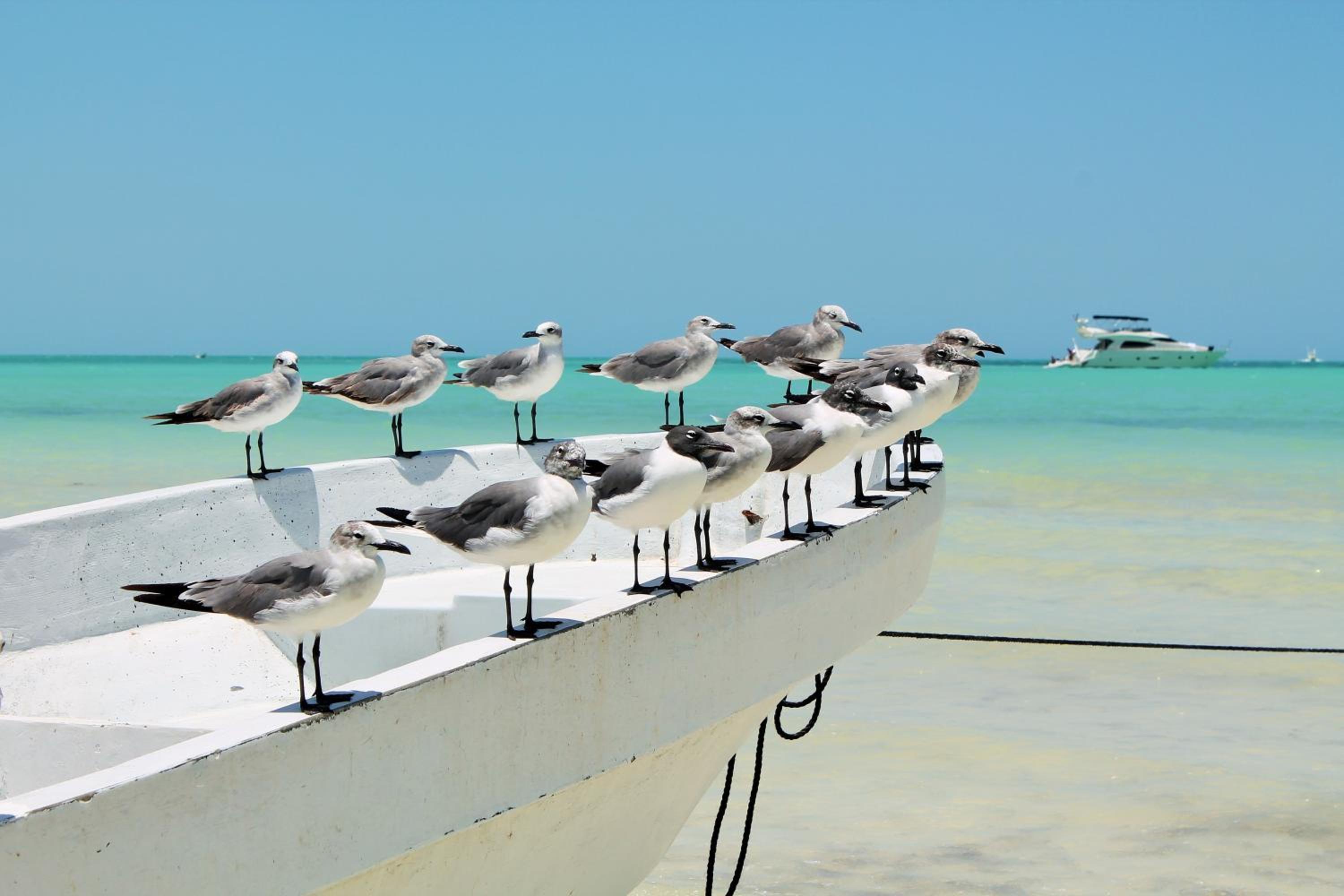 El Corazón Boutique Hotel - Adults Only with Pool & Beach Club Access