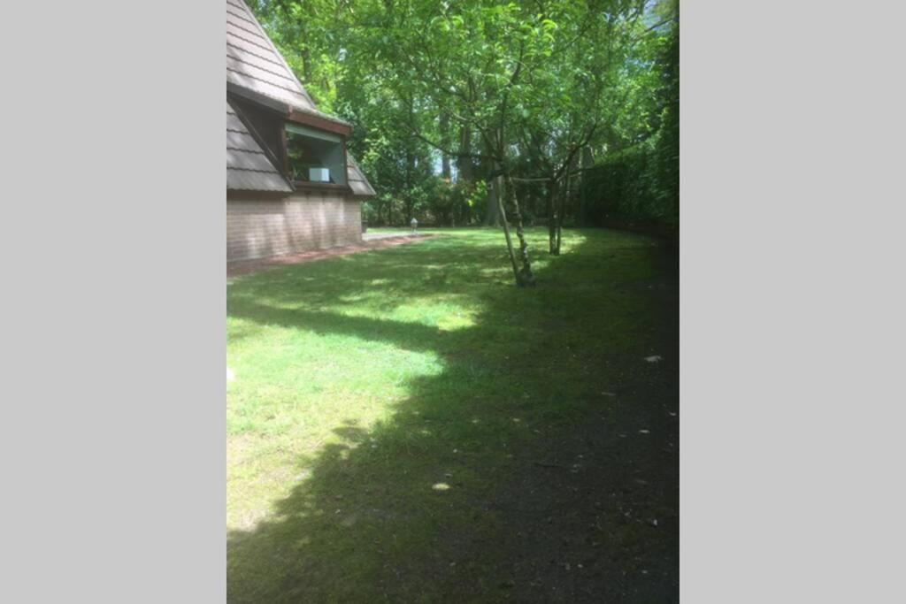La Casita E41