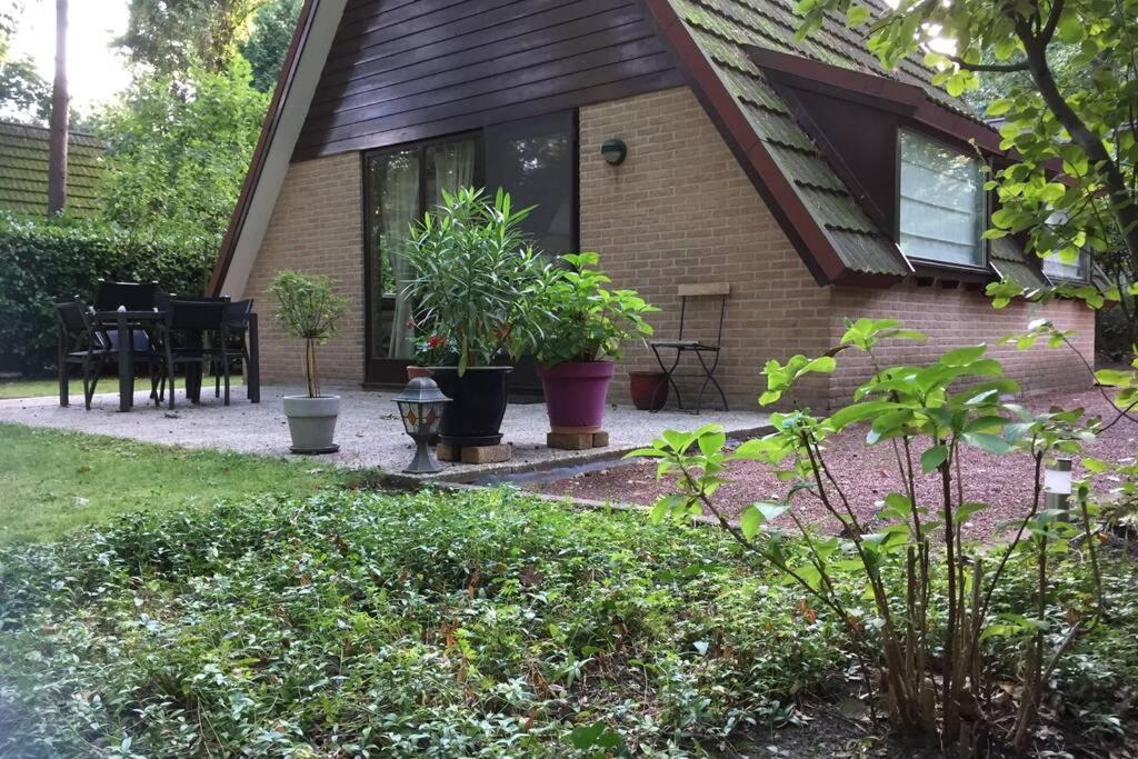La Casita E41