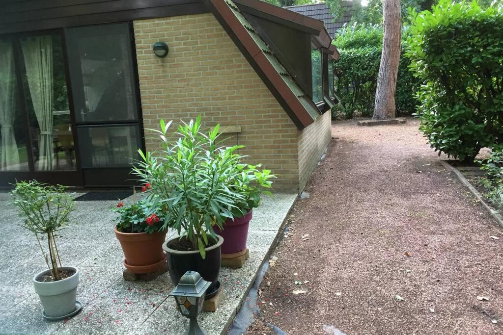 La Casita E41