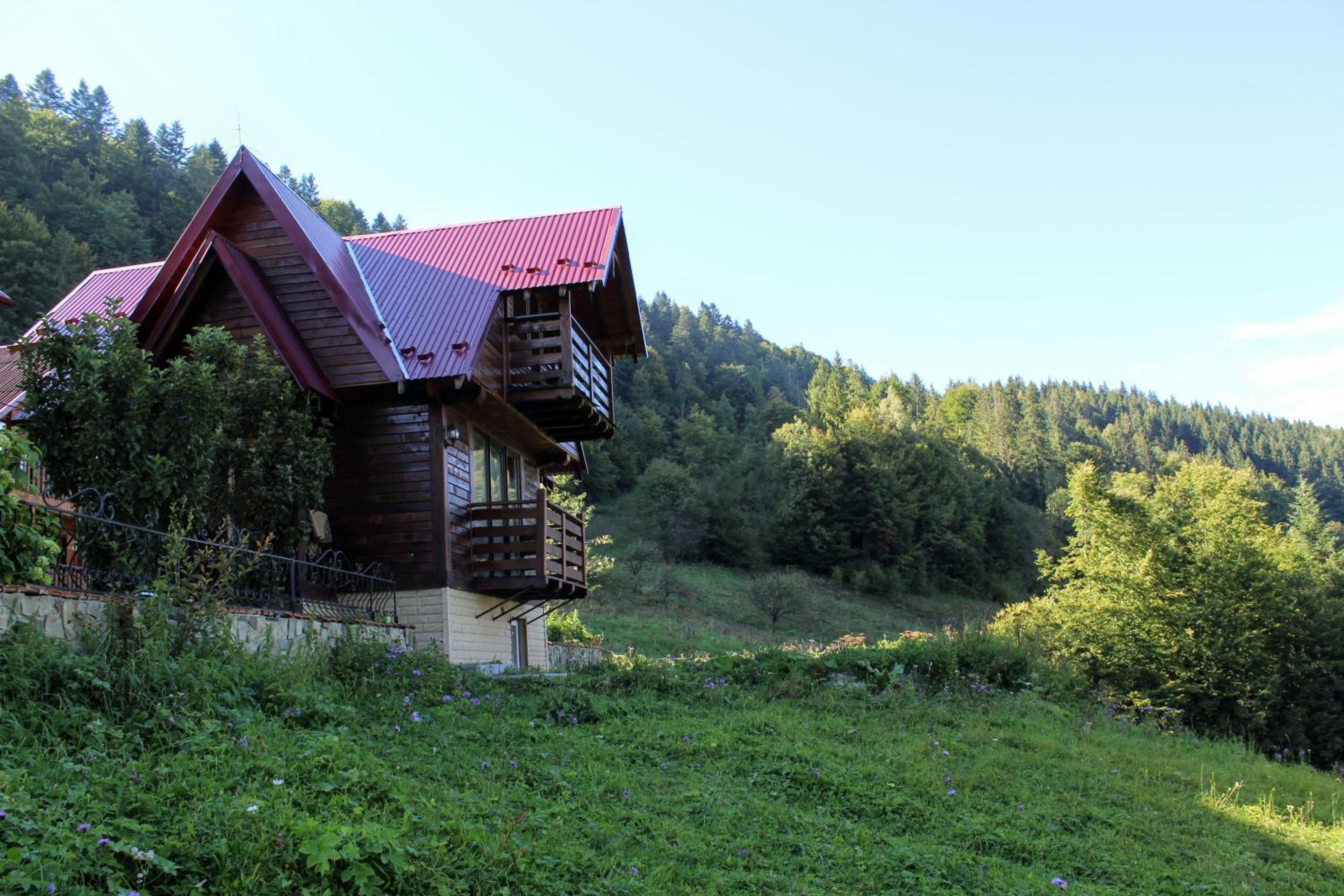 Photo 44