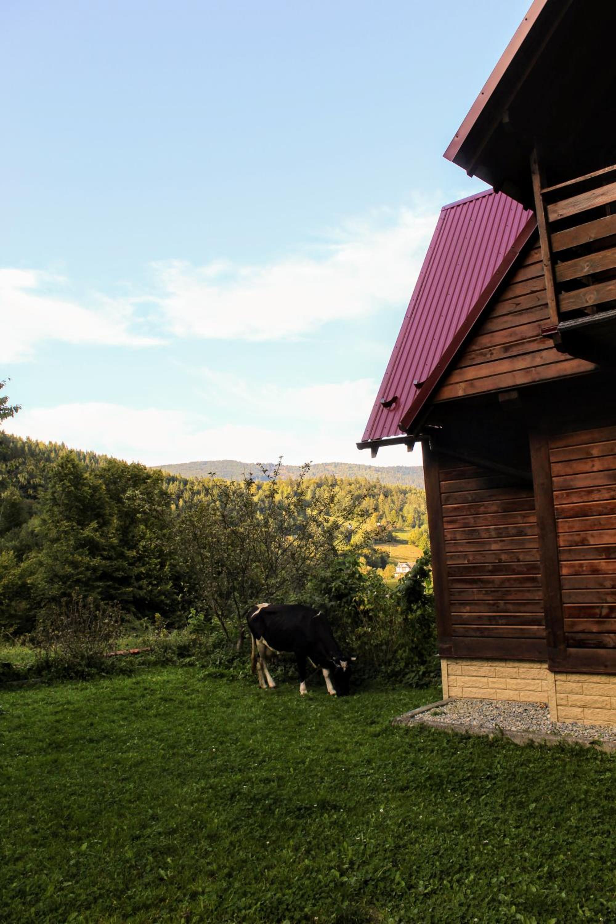 Photo 45