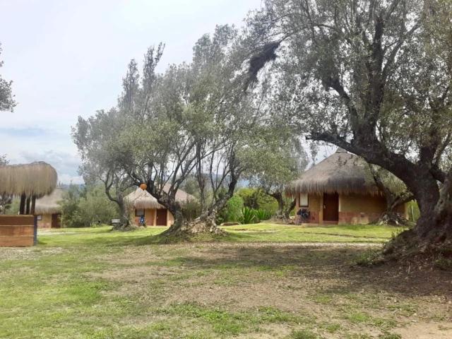Habitaciones Luna Campestre