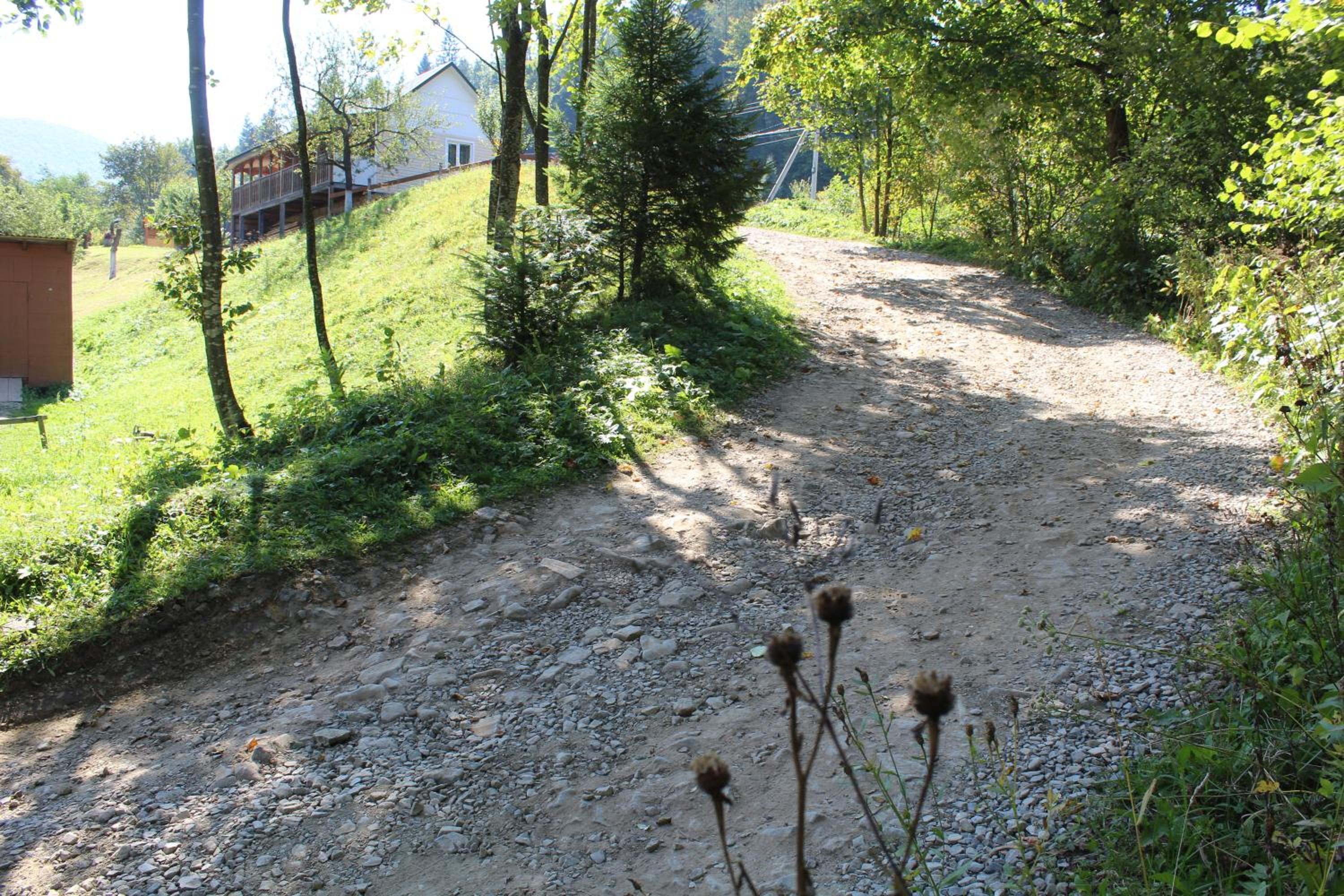Photo 46