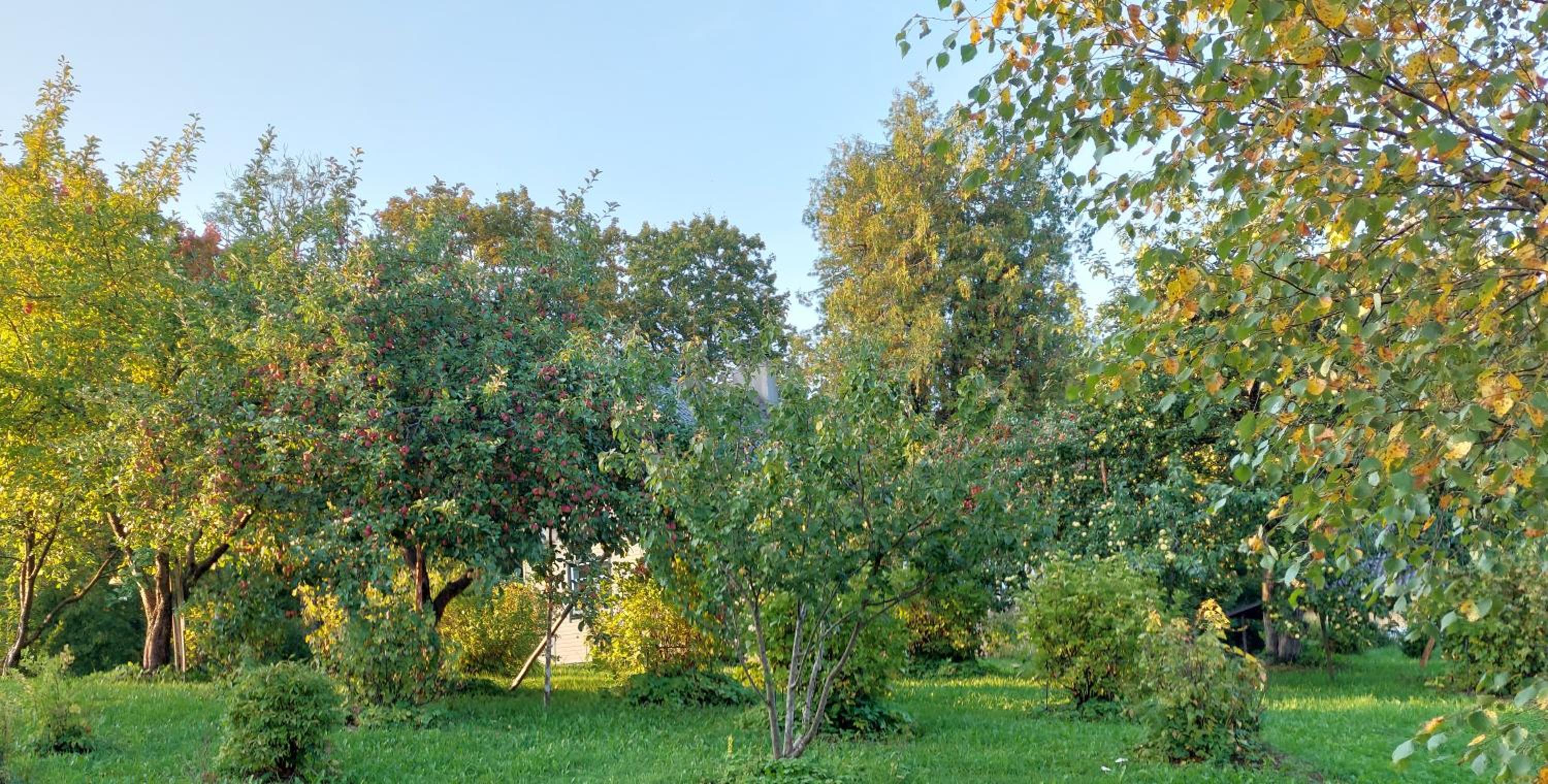 Photo 35