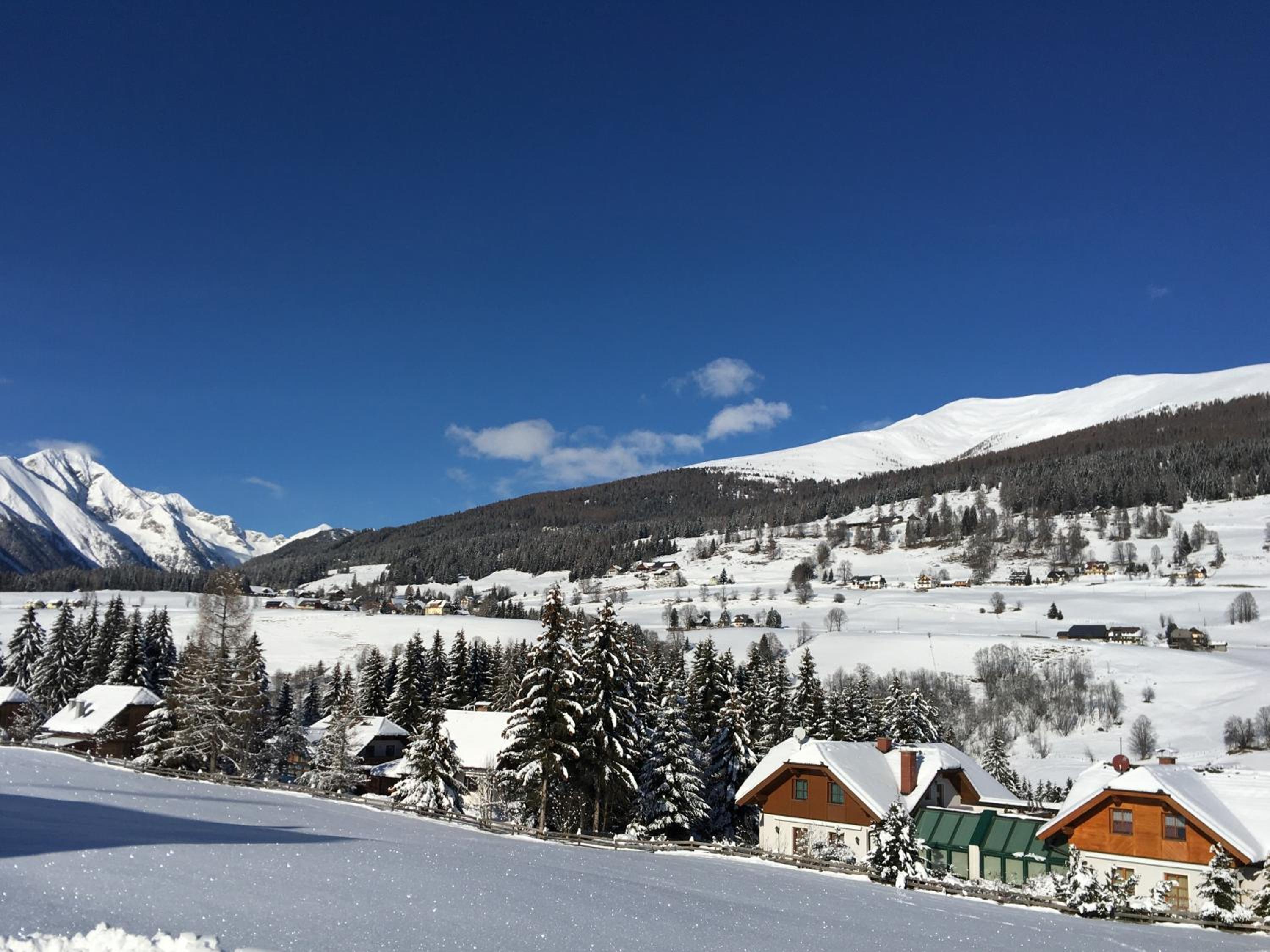 Ferienhaus Alpenblick