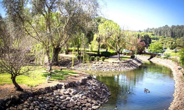 היחידה - Hayehida, photo 17
