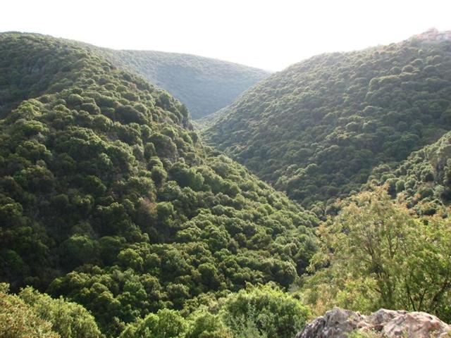 היחידה - Hayehida, photo 30