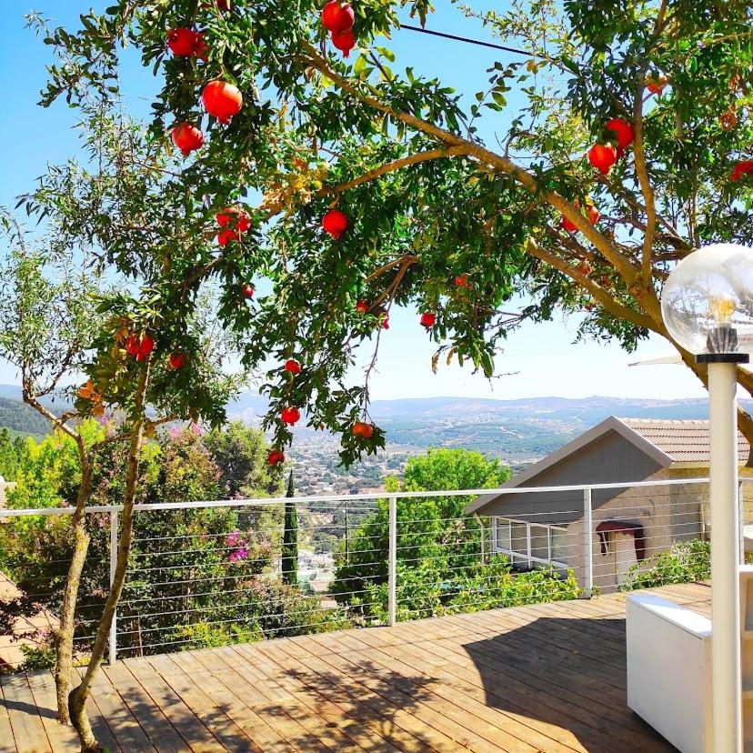 היחידה - Hayehida, photo 8